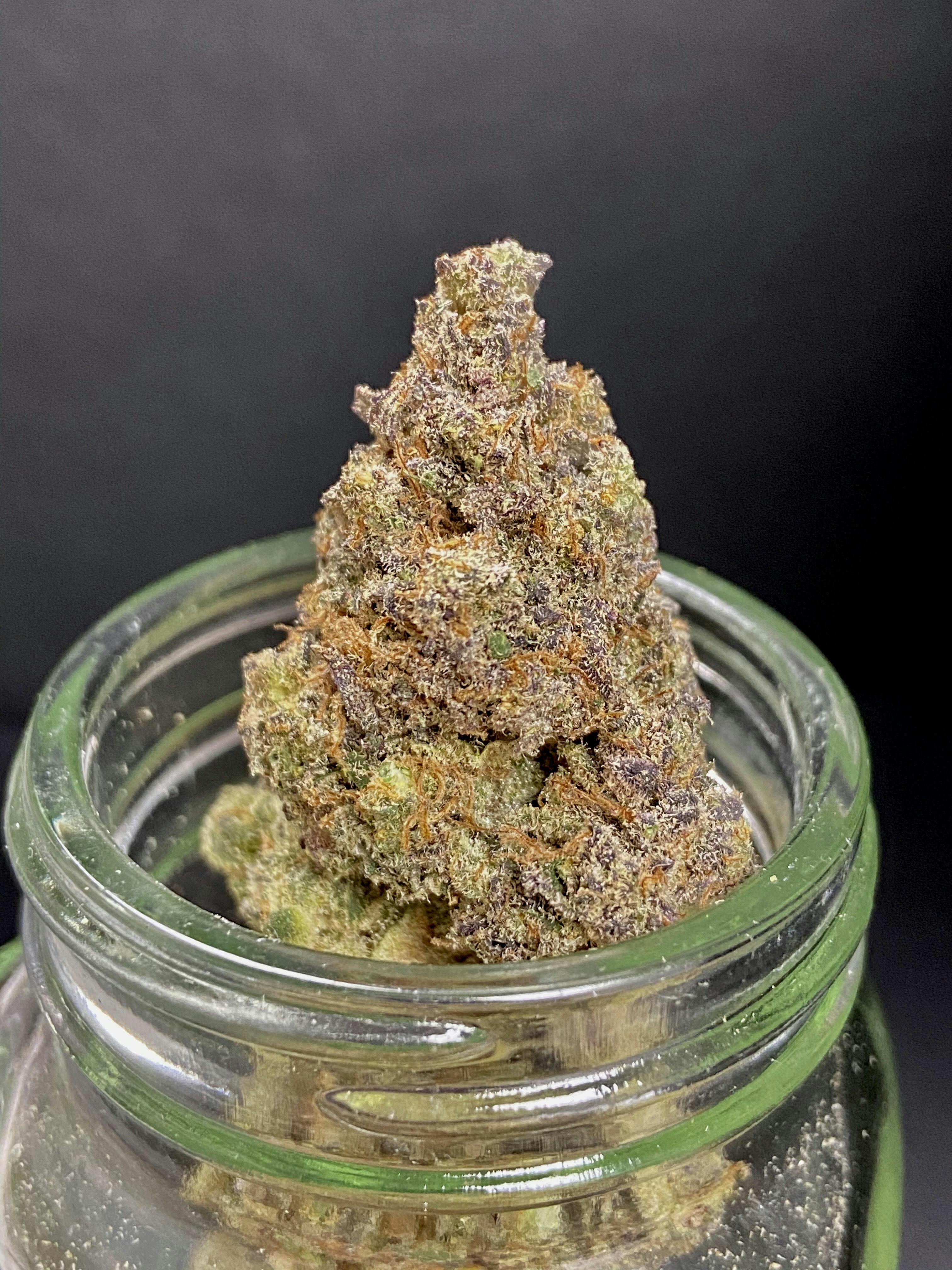 Grape Mochi {Grape Gas x Mochi Gelato} (Locol Love) 'CONNOISSUER SHELF" (1/2 OZ Special)