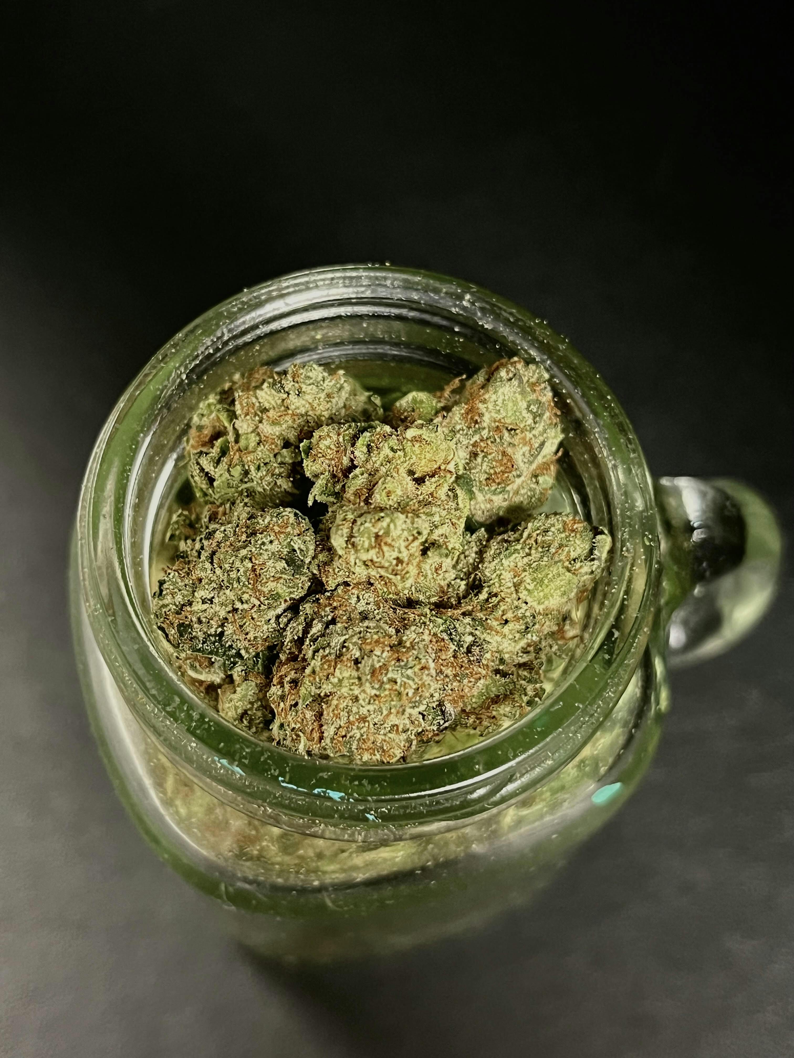 Super Boof {Trop Cookies x Black Cherry Punch} (Locol Love) (Popcorn) "SILVER SHELF"