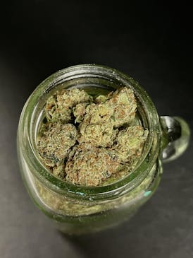 Trop Cherry (Locol Love) (Popcorn) "SILVER SHELF"