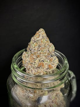 Peanut Butter Cherry Pie {PB Breath x Cherry Pie x G. Pie} (Cherry) "CONNOISSEUR SHELF"