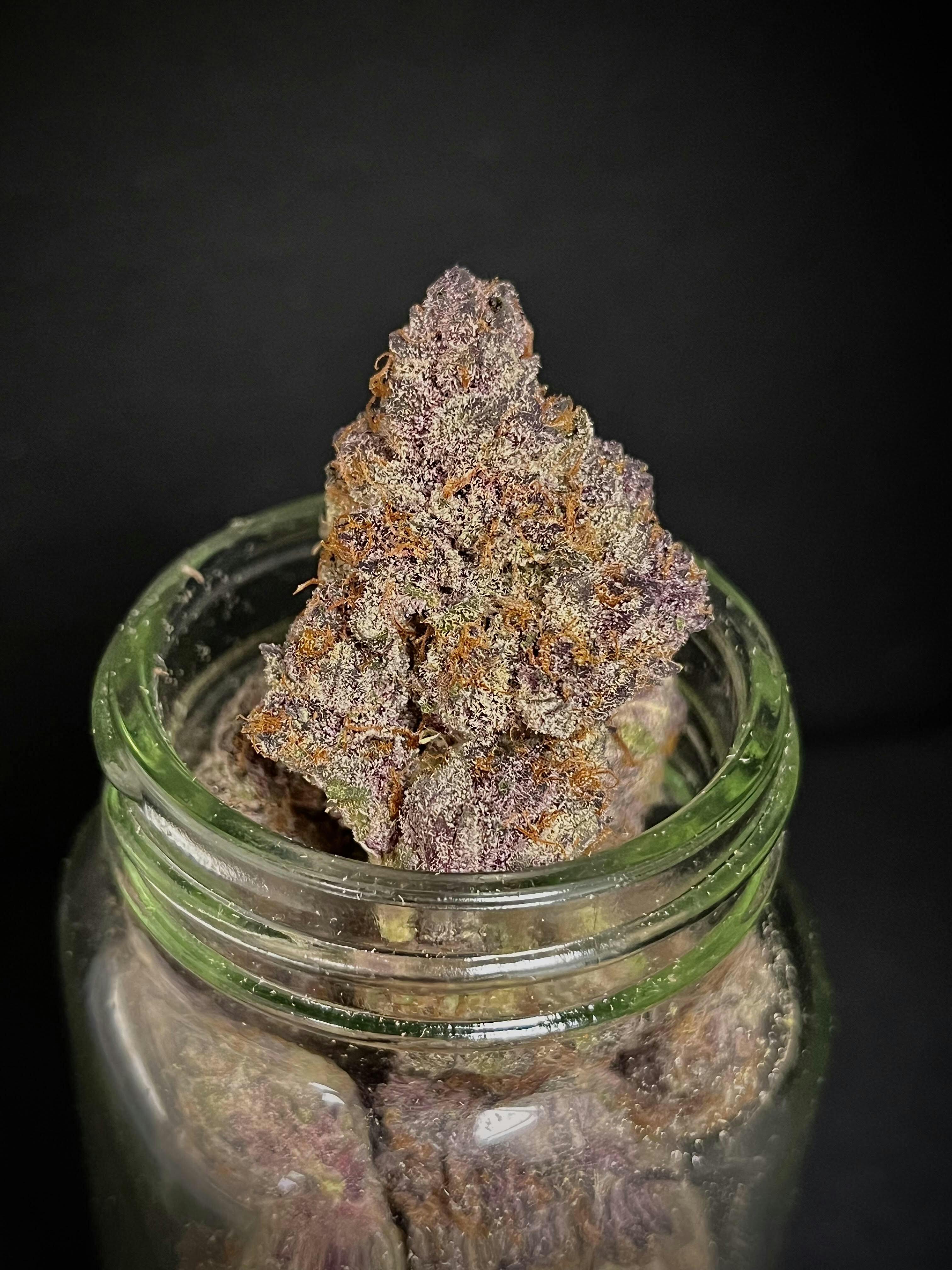 Blockberry {Trop Cookies x Black Cherry Punch} (Indico) (1/2 OZ Bud Special)