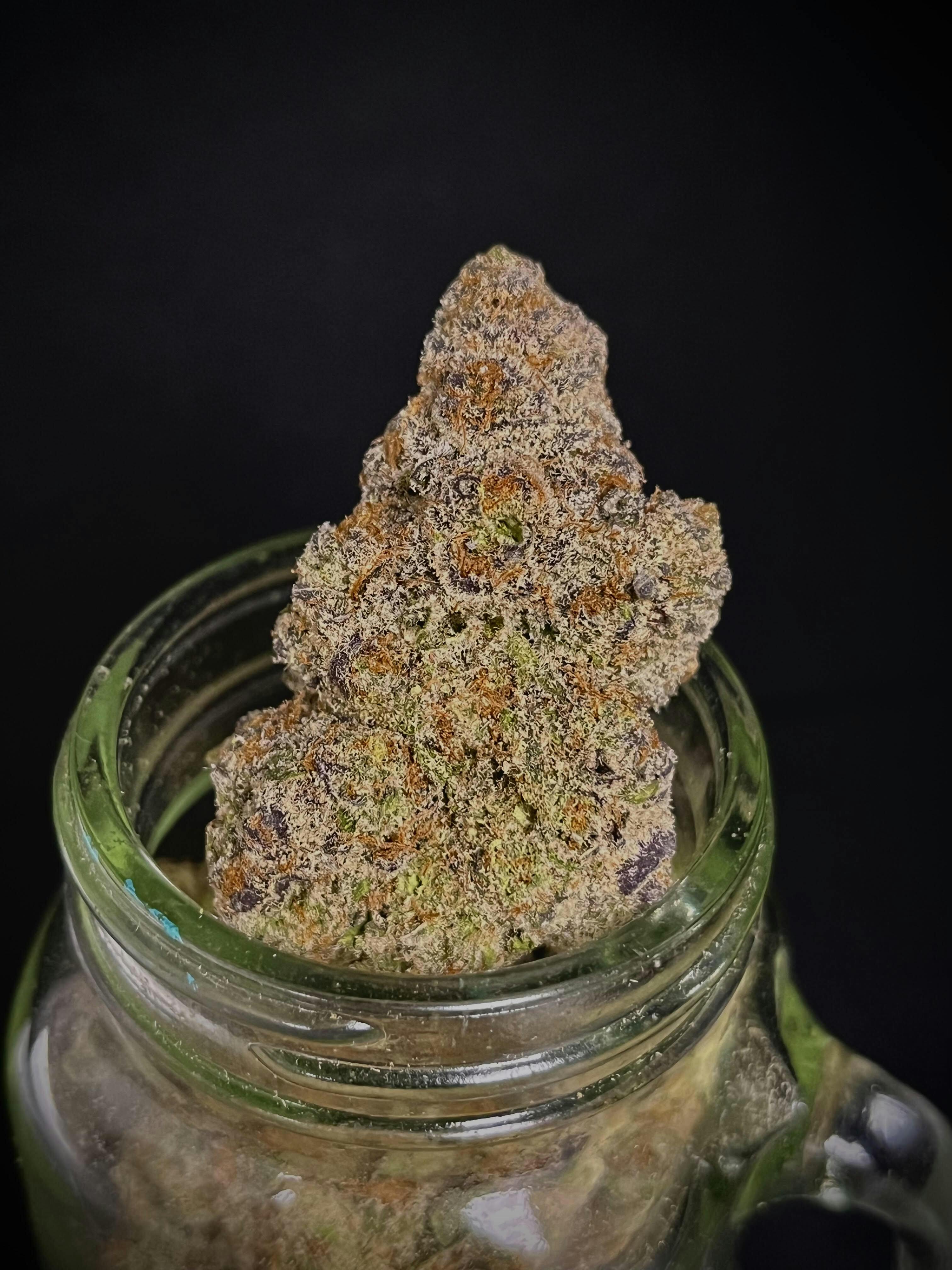 Double Lemon Gucci {Diesel Dog x Lem} (Locol Love) "CONNOISSEUR SHELF" cannabis product