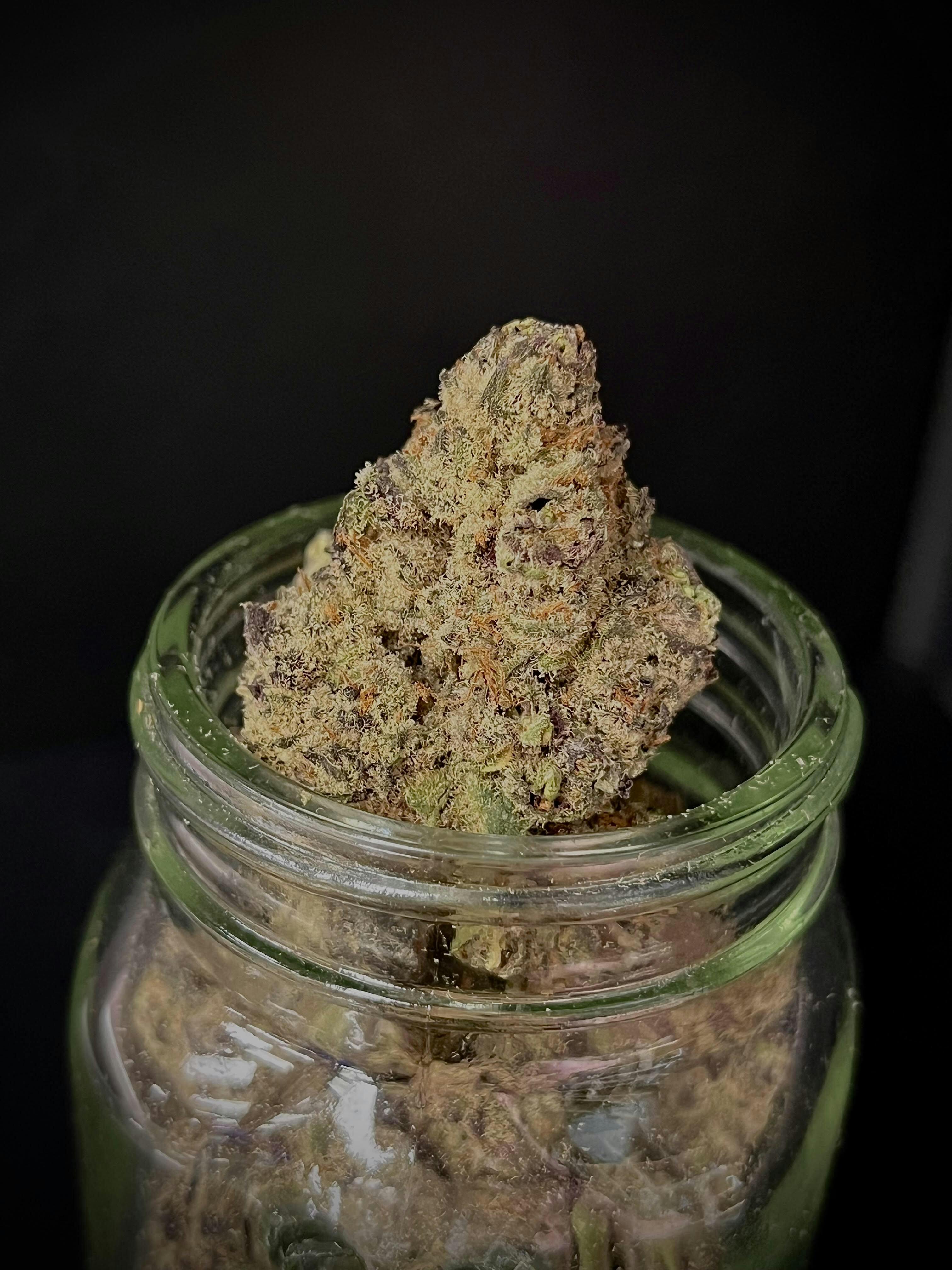 Biggie Runtz (Stellar) "GOLD SHELF"