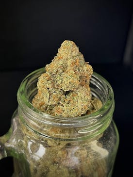 Cinnamintz (DH Systems) (1/2 OZ Bud Special)