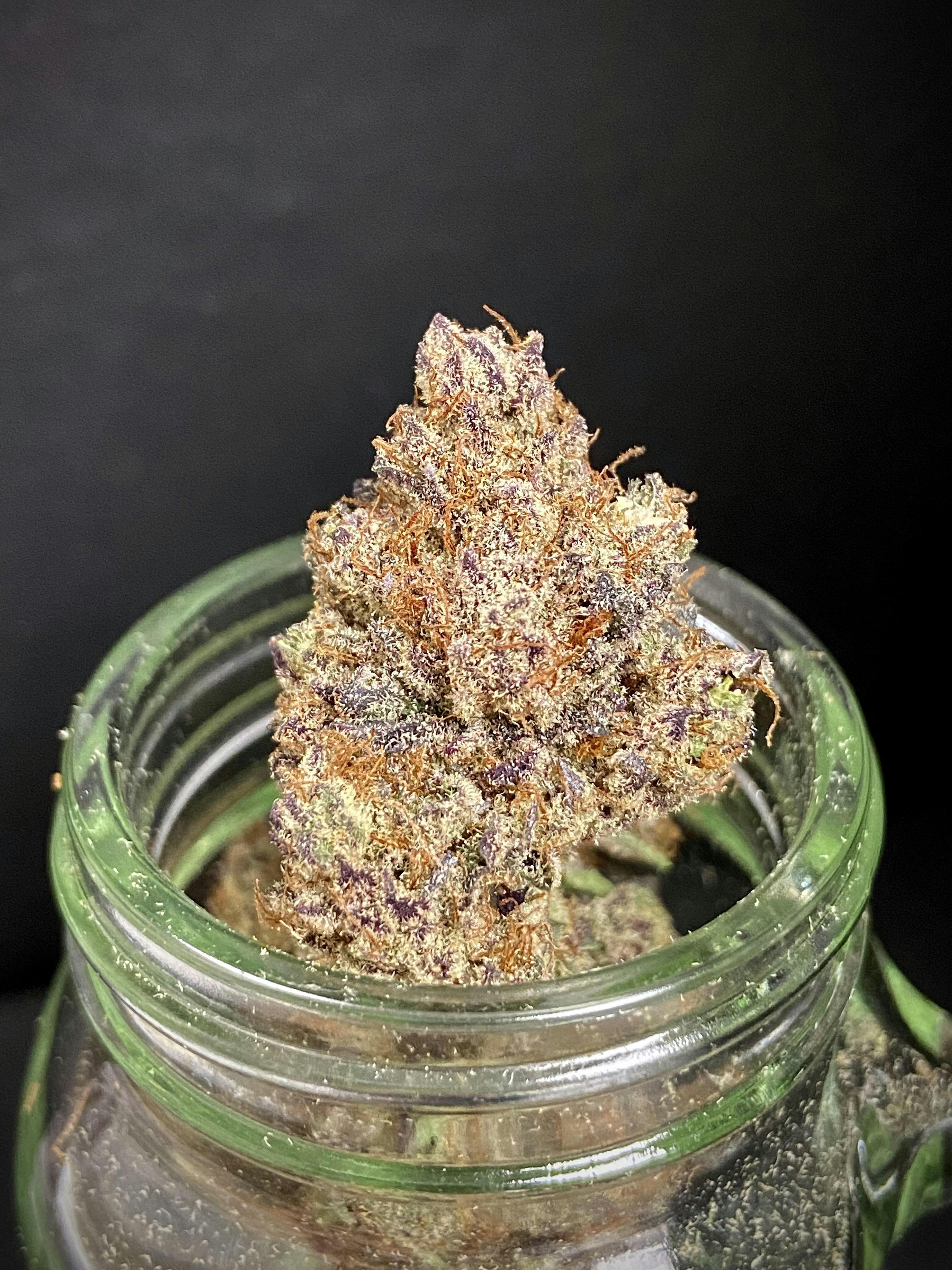 Platinum Cake Mints | Big Buds | 1g