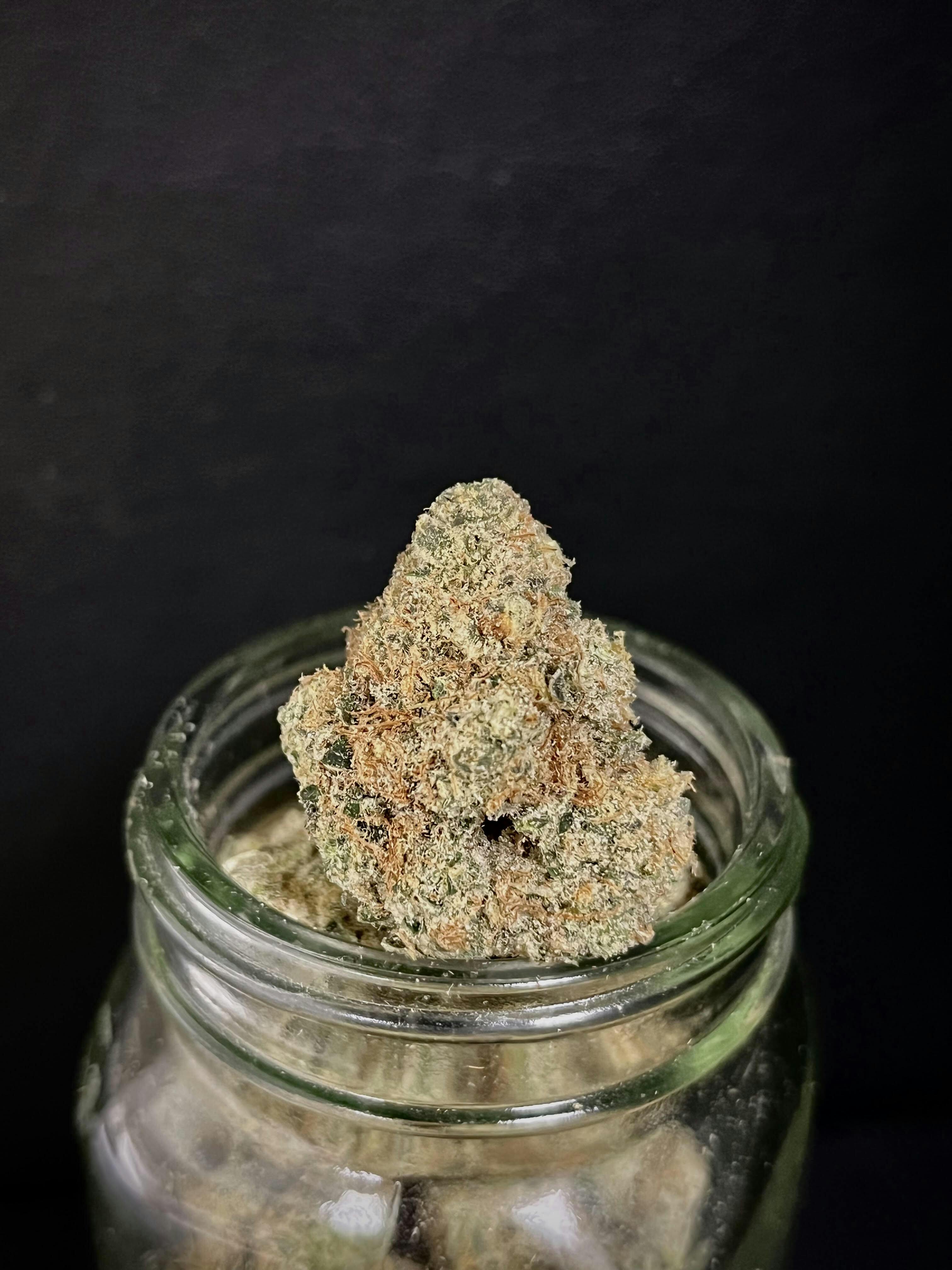 Pineapple Horchata Ardo Gold Shelf