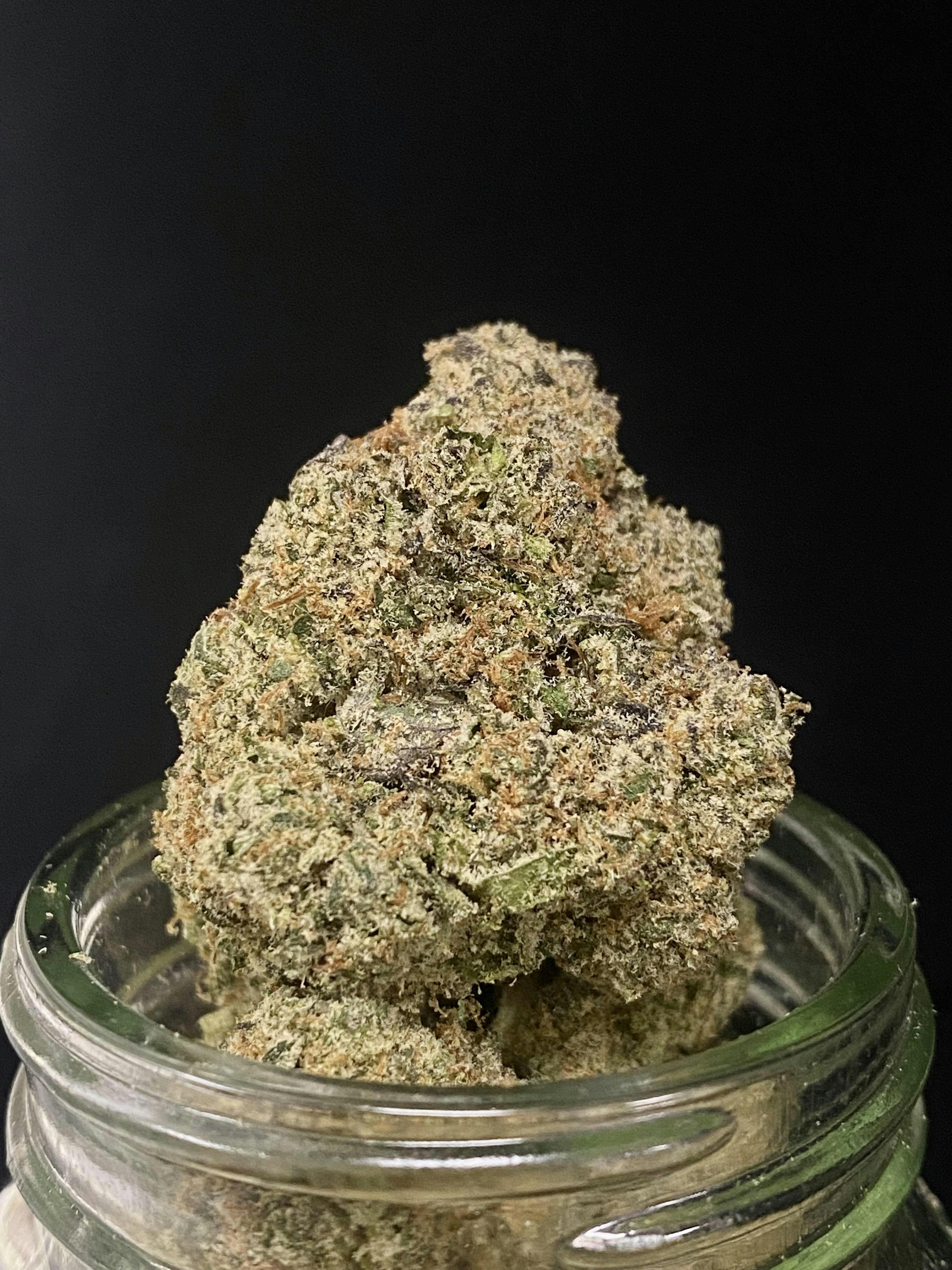 Deep Space Romulan x Chunk The Bakery Brothers Gold Shelf