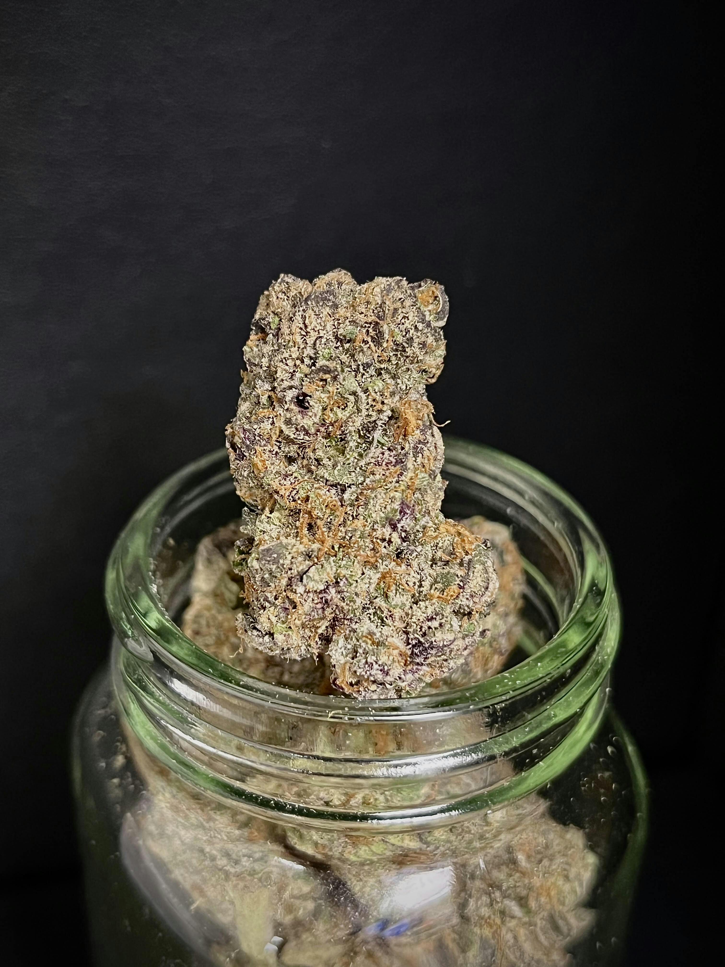 Rainbow Runtz {Runtz x RS11} (Wildfire) "BLACK SHELF"