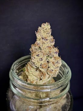 Grape Hindu Cake (Vera) (1/2 OZ Bud Special)