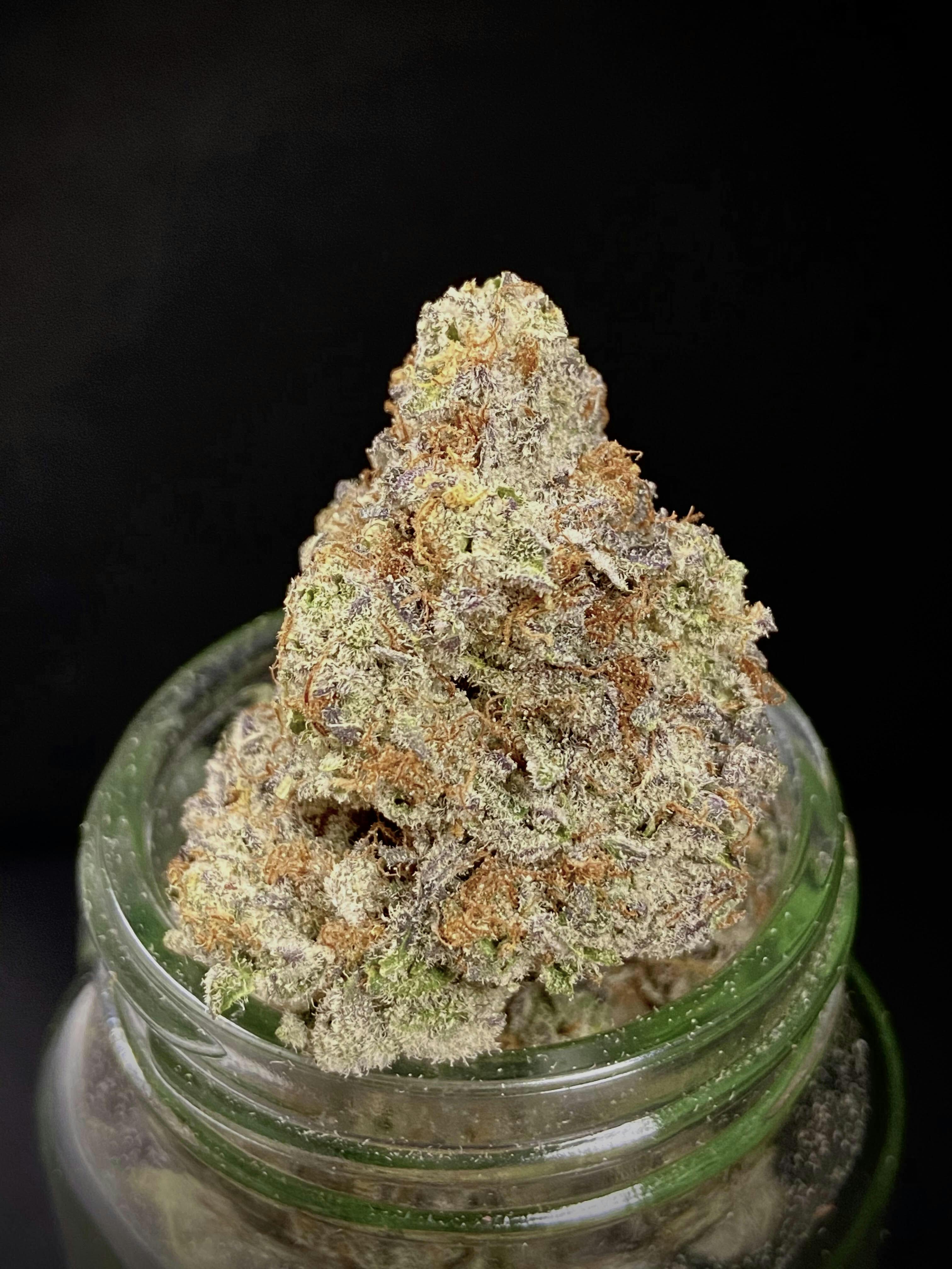 Frozen Cola Oreos x Pure Michigan Gold Shelf