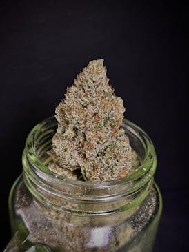 92 Blue {92 Kush x Blue Bonnet} (SPCY Canna) "CONNOISSEUR SHELF"