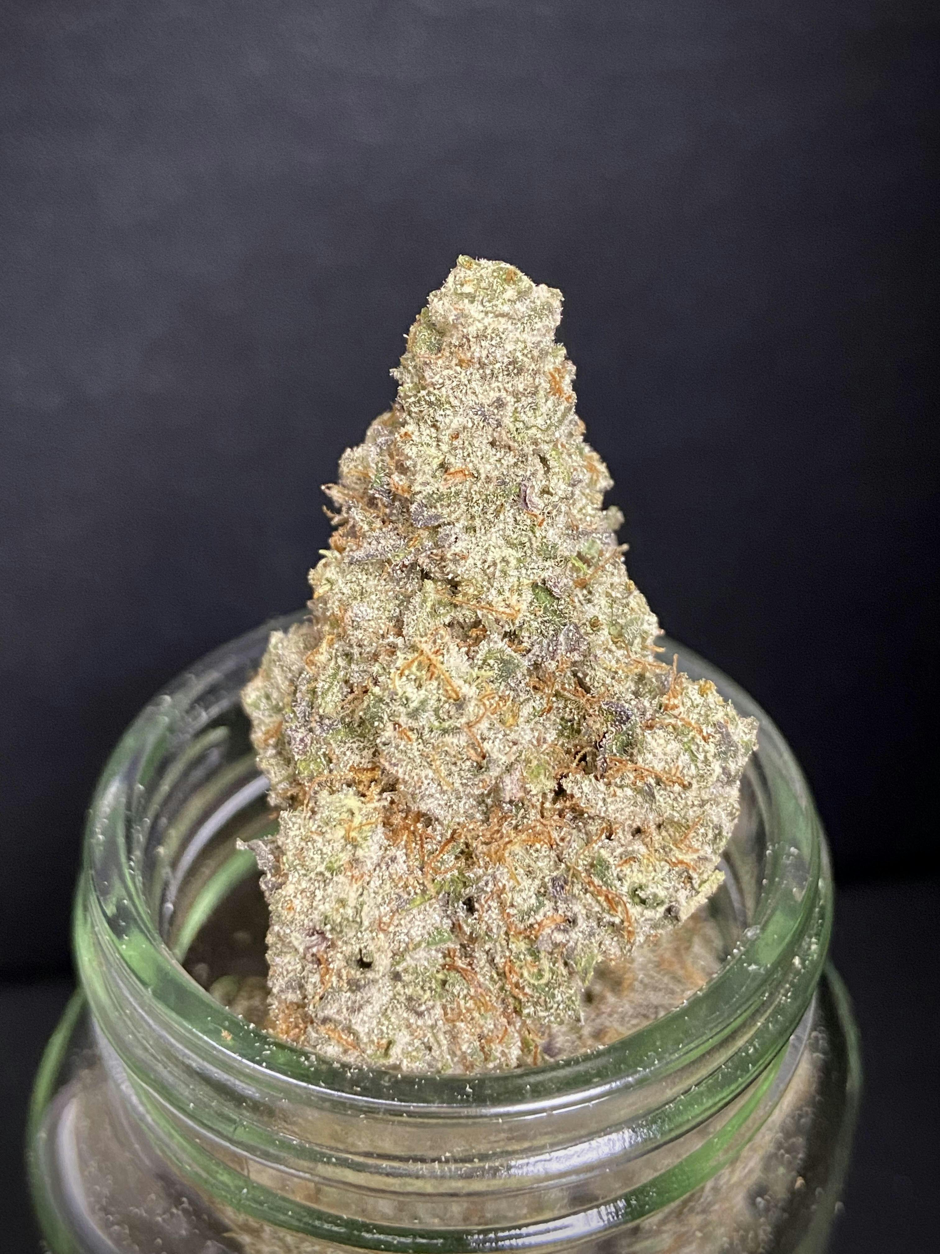 Aloha Sugar Cherry Connoisseur Shelf