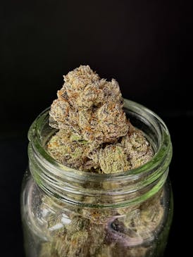 Peach Maraschino {Peach Crescendo x Winterberry} (Indico) "CONNOISSEUR SHELF"