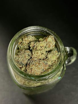 GAS {MAC x Starfighter} (Locol Love) (Popcorn) "SILVER SHELF"