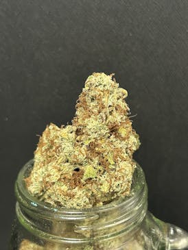 De La Sour (Nuhi) {Sour Diesel x Chem De La Chem} "BLACK SHELF"