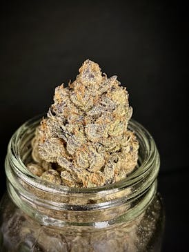 Diablo Fuego {Hell Fire OG x Phantom Cookies} (Locol Love) (1/2 OZ Bud Special)
