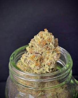 Cosmic Grapefruit {Cosmic Kush x Grapefruit} (Indico) "BLACK SHELF"