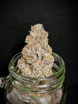 Sub Zero {Super Boof x Oreoz} (Grateful Grove) "CONNOISSEUR SHELF"