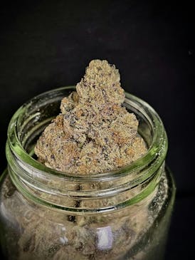 Zero Dark Gary {Gary Payton x Zero Gravity} (Hi-Fuel) "BLACK SHELF"