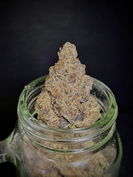Apple Tartz (Ardo) "GOLD SHELF" (1/2 OZ Special)
