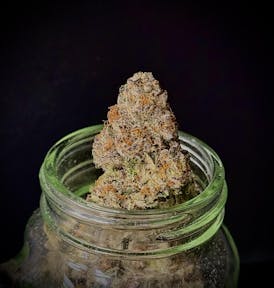 Moon Palace {Holy Comet x Grape Pie} (Verde) "CONNOISSEUR SHELF"