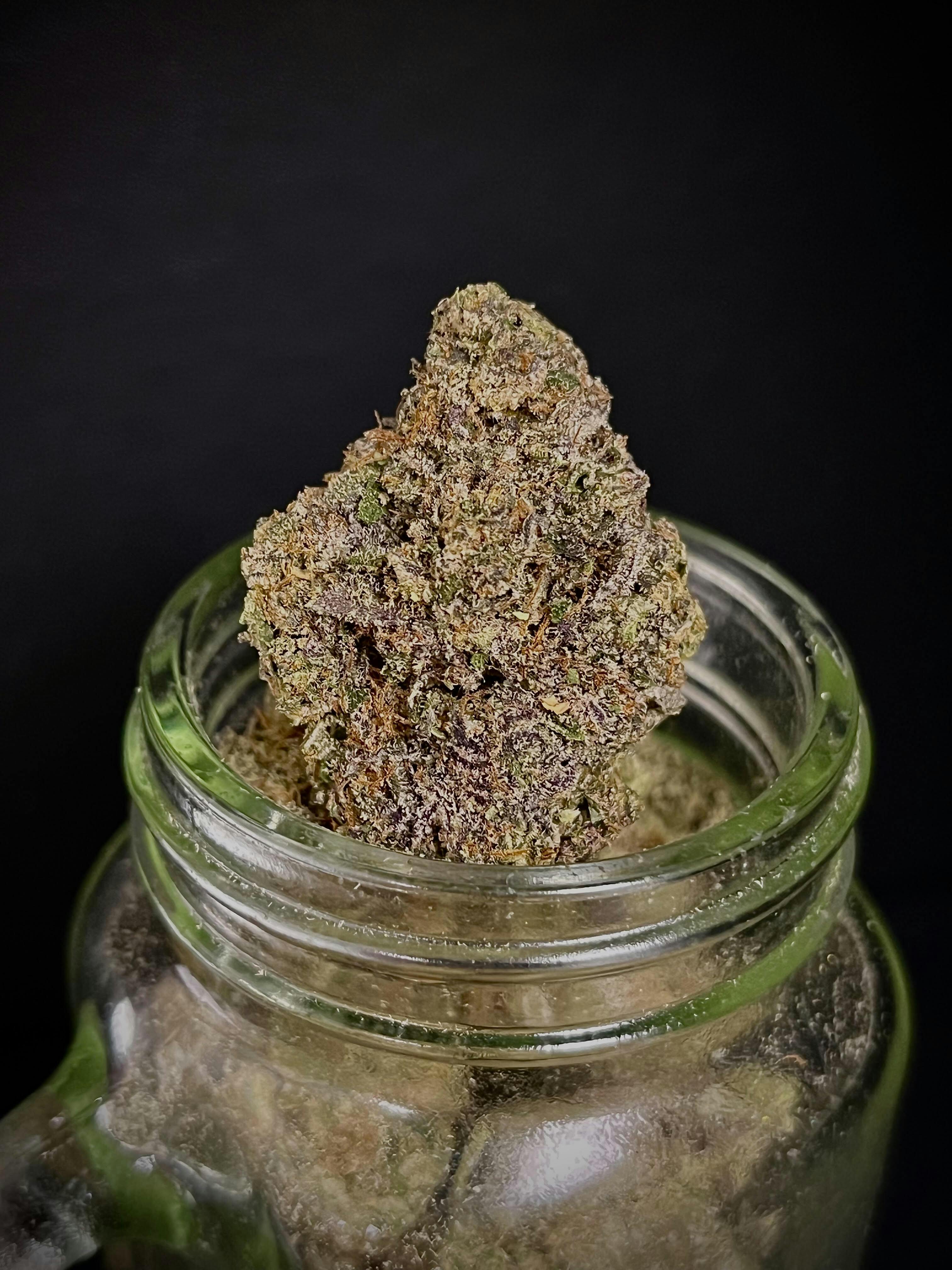 Sherbert Cream Pie {Sherb BX1 x Ice Cream Cake} (Locol Love) "CONNOISSEUR SHELF"