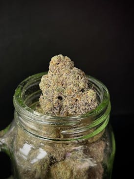 Grape Cream Cake {Wedding Crasher x Grape Pie} (Locol Love) "BLACK SHELF"