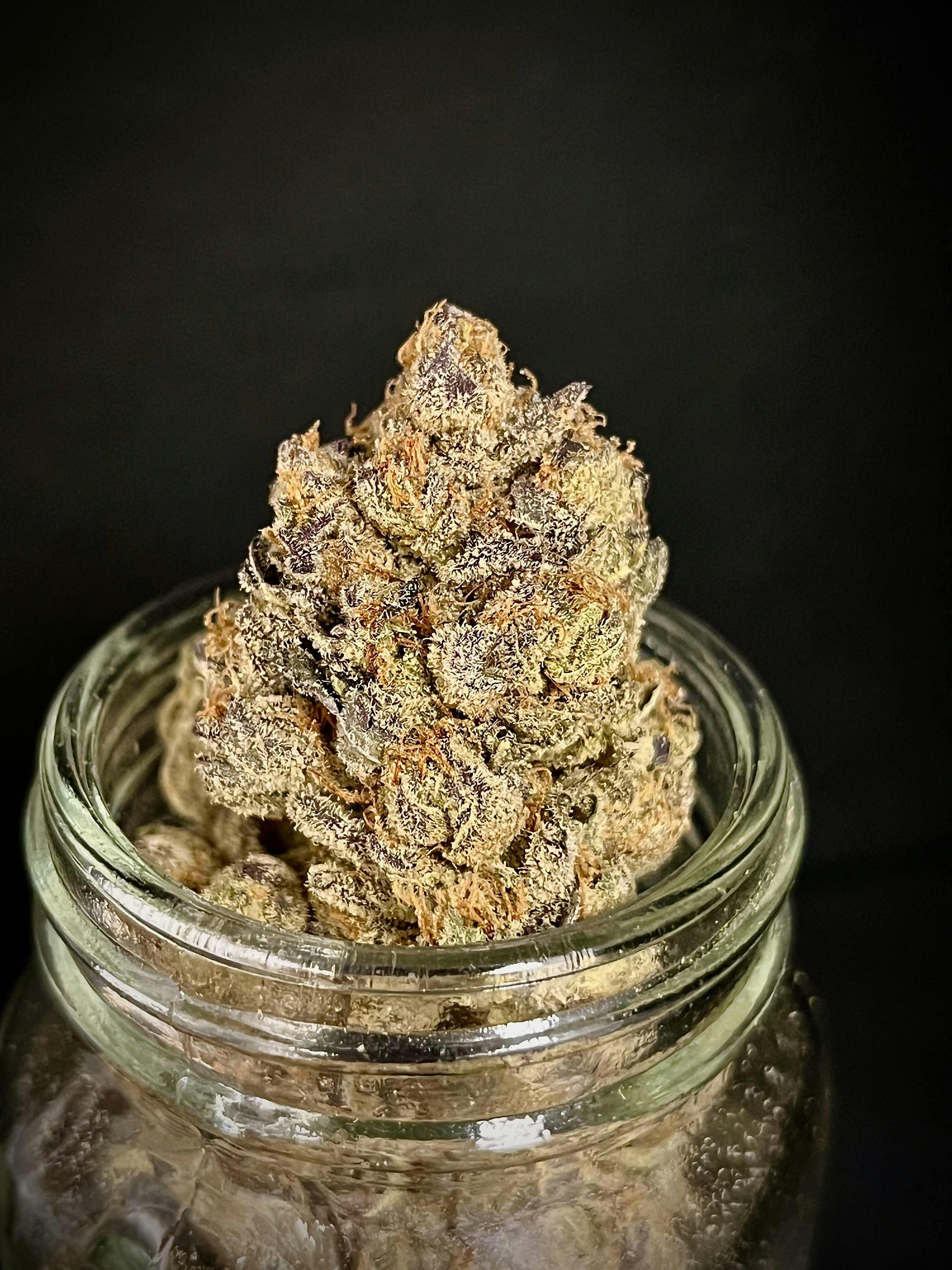 Diablo Fuego Hell Fire Og x Phantom Cookies Connoisseur Shelf