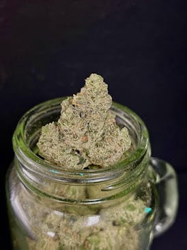 Mystic Margarita {Nerdz x Z Cake x Rainbow Pebbles} (Melody Genetics) "CONNOISSEUR SHELF"