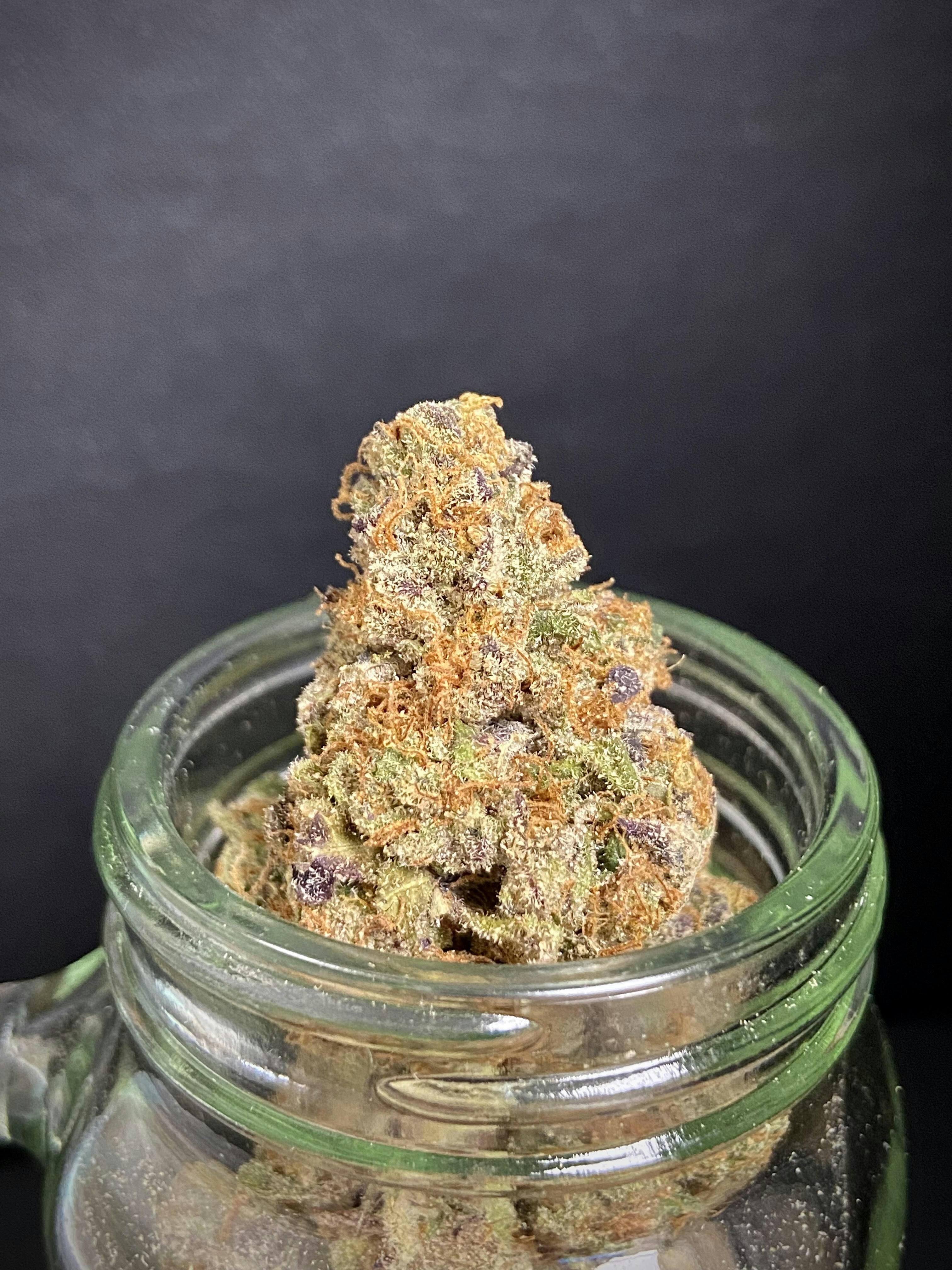 Poontang Pie {Trop Cookies x Grape Pie x papaya} (Locol Love) "CONNOISSEUR SHELF"