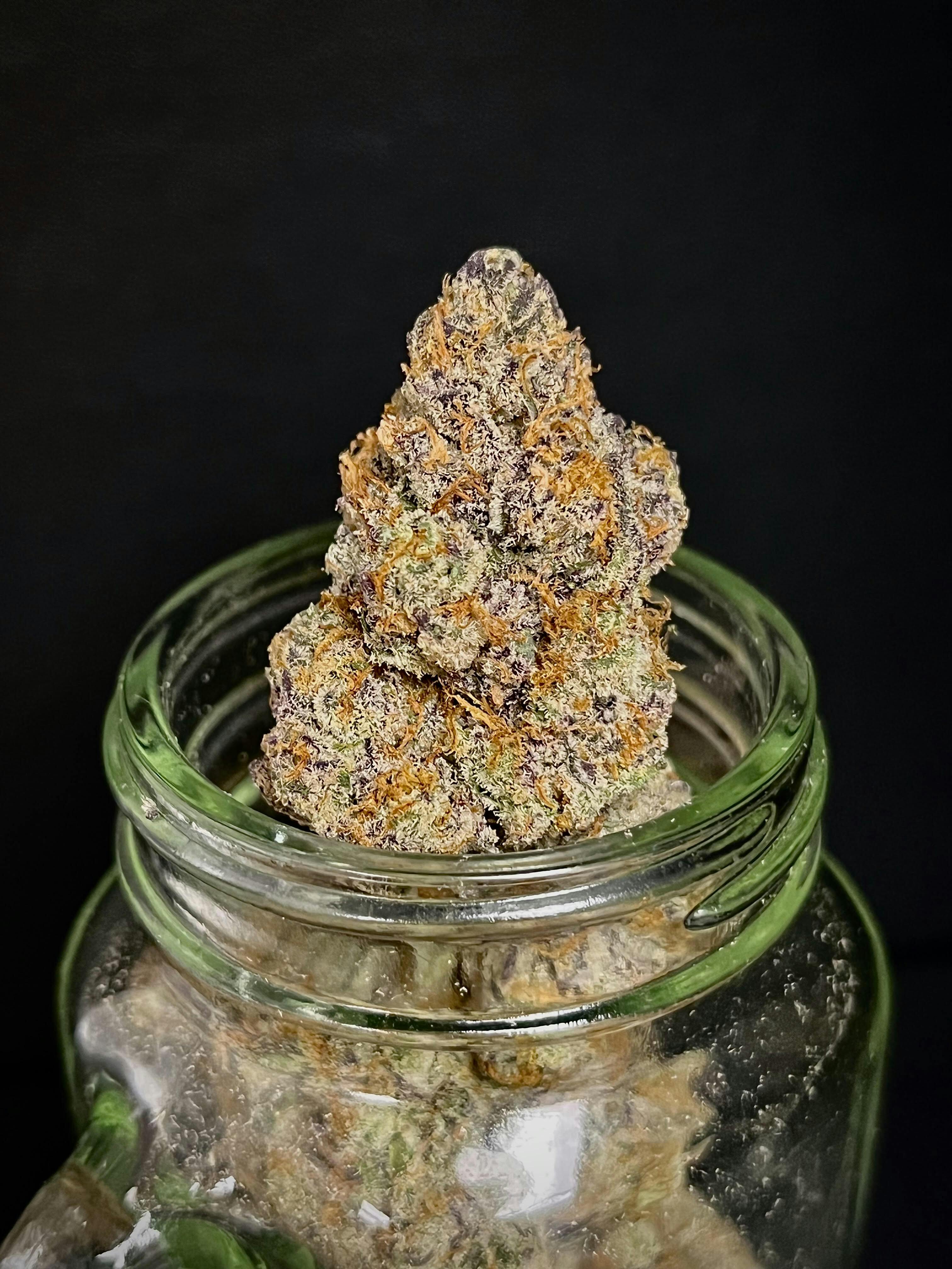 Pearl Cadillac {Winter Berry x Spanish Moon} (Indico) "CONNOISSEUR SHELF"