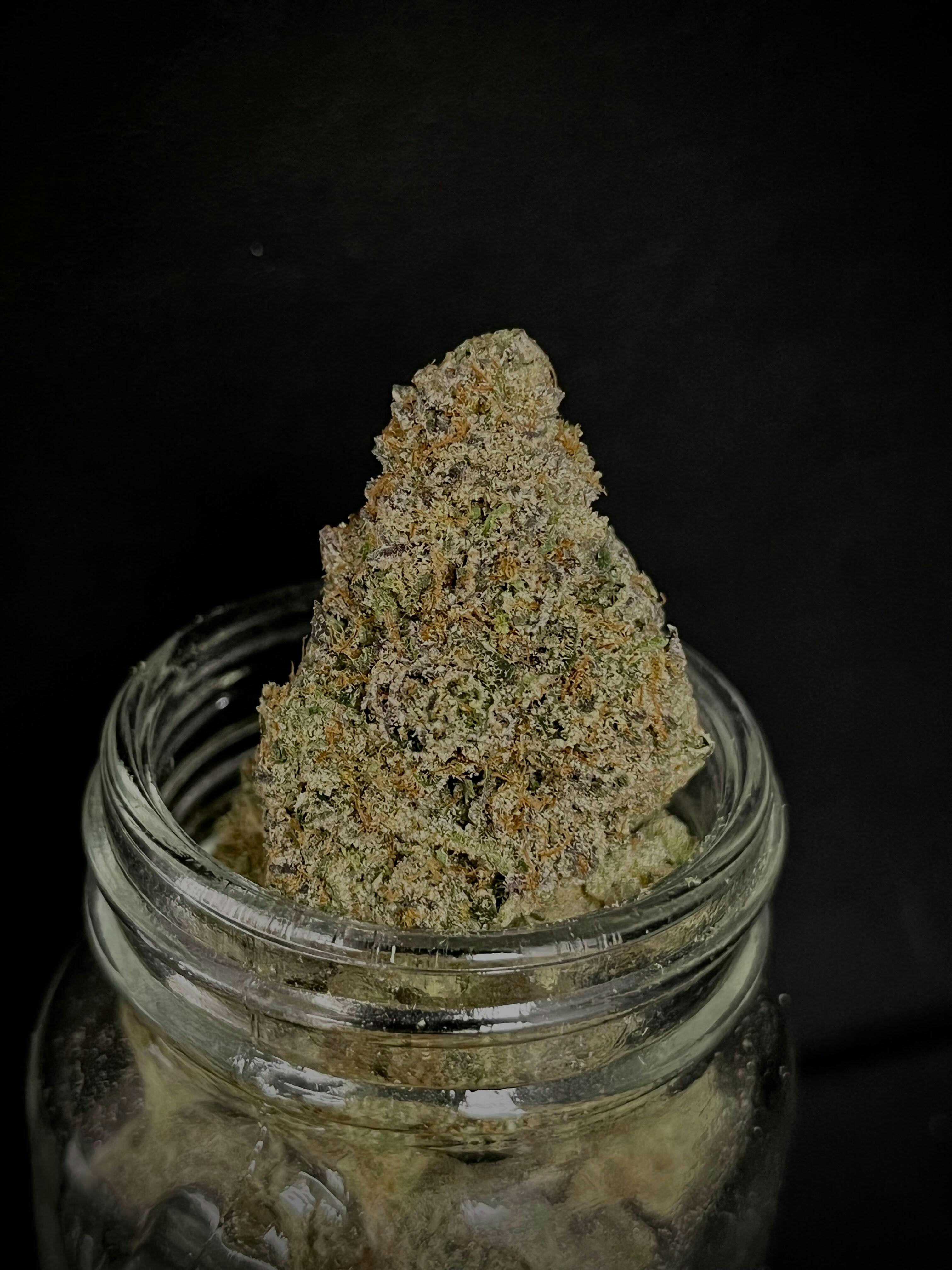 Grapefruit Cake {Grapefruit OG x Wedding Cake} (Sunshine) (1/2 OZ Bud Special)