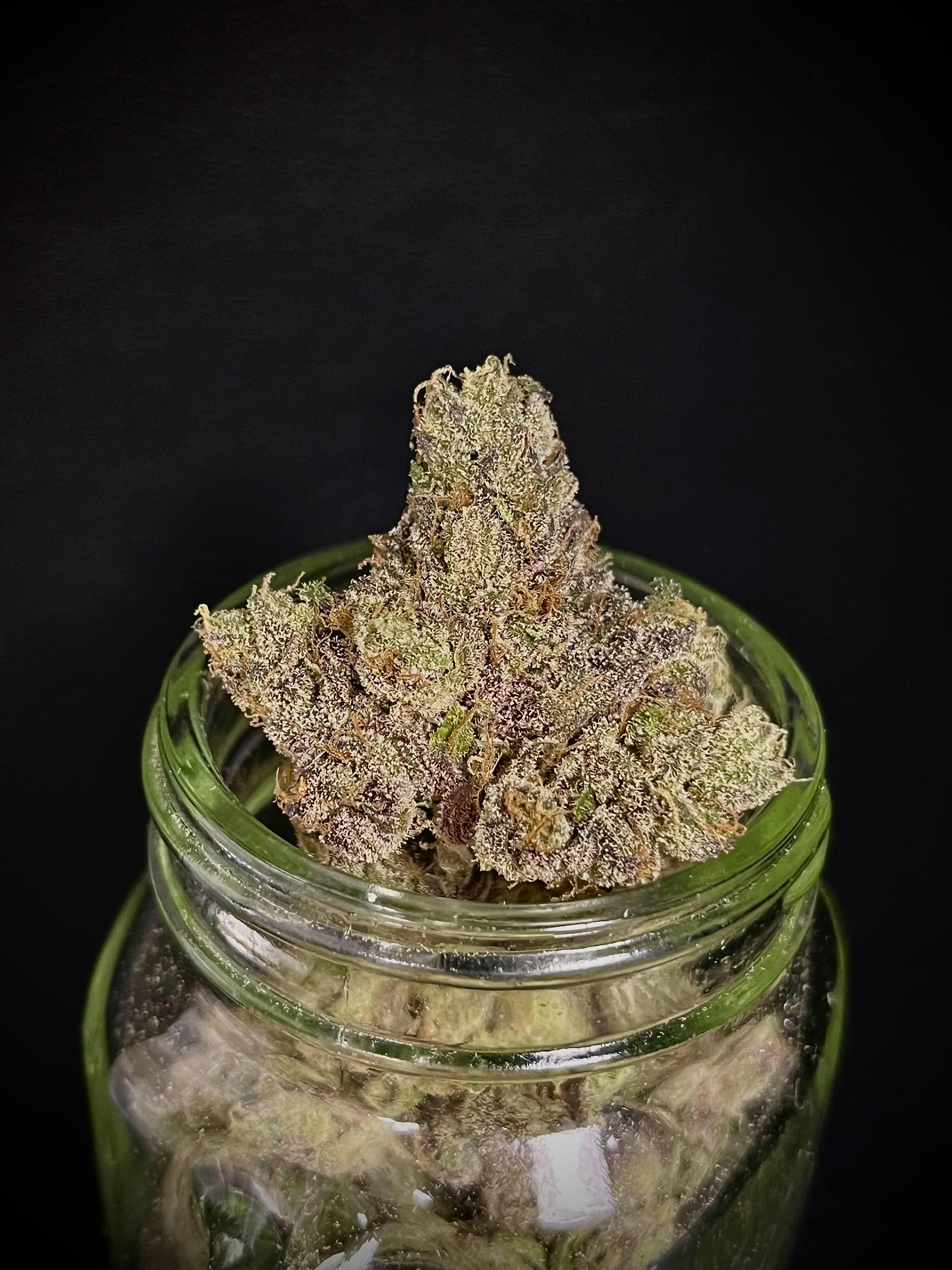 Bubblegum Marker {Sherbet x Permanent Marker} (Chimera) "CONNOISSEUR SHELF"