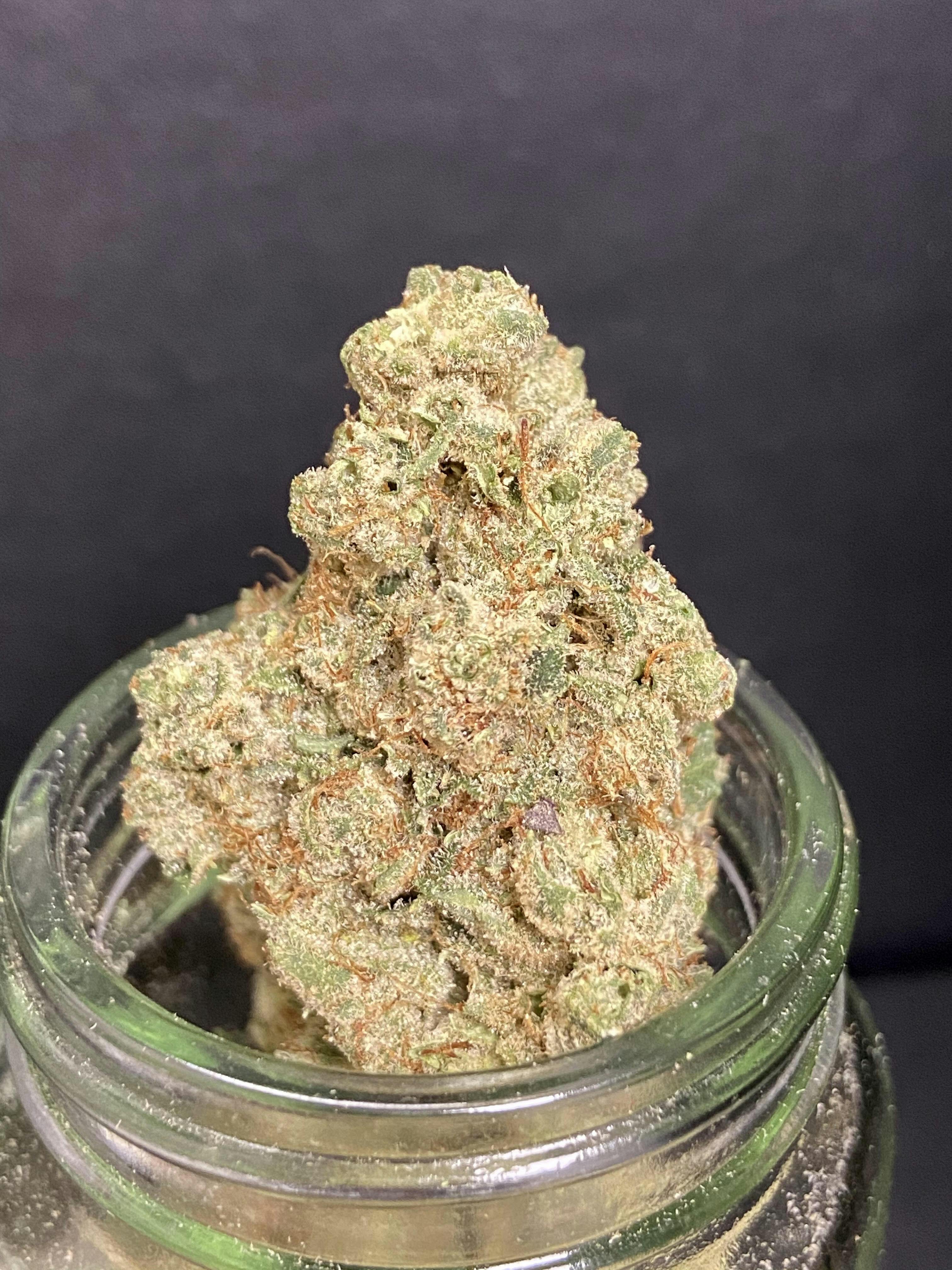 Buttermilk Biscuits (Lit) "BLACK SHELF"