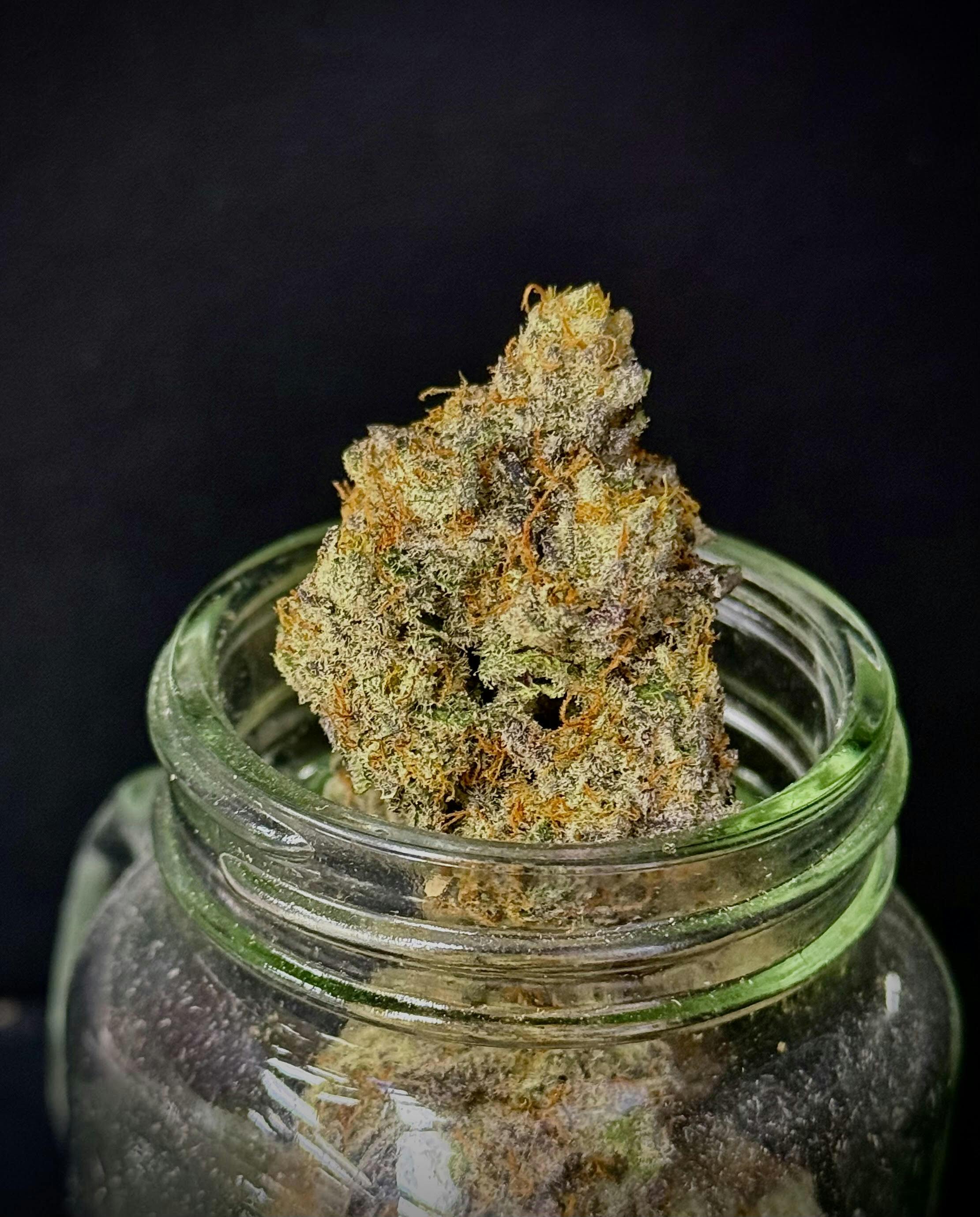 All The Sauce {Original Zkittlez x Wrank} (Indico) "CONNOISSEUR SHELF"