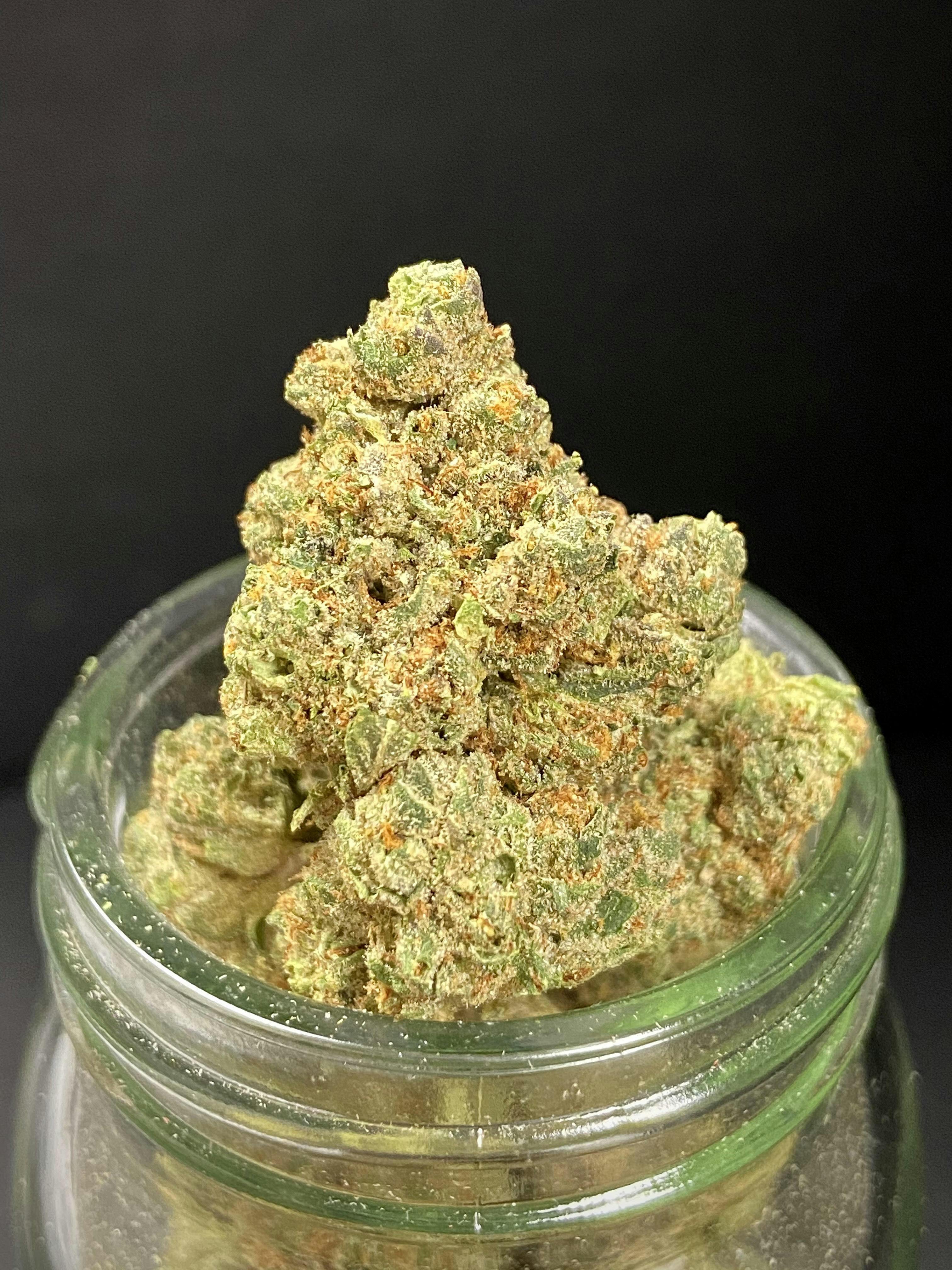 Lemon Head Delight {Ice Box Pie x Early Orange} (Wildfire) "BLACK SHELF"