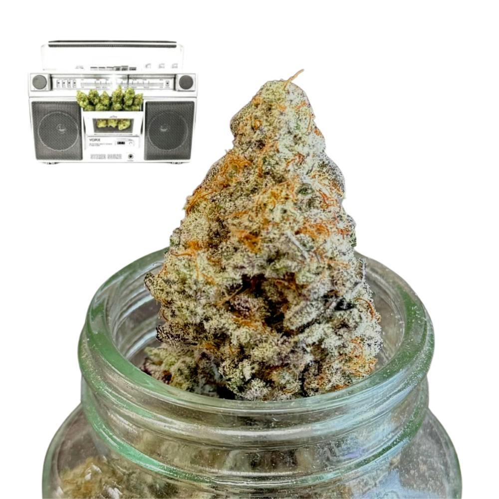 BananaConda {Snake Cake x Dual OG #4} (Indico) "CONNOISSEUR SHELF" (1/2 OZ Special)