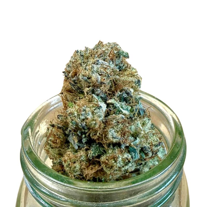 F # Crescendo x Han Solo Burger Spcy Canna Connoisseur Shelf