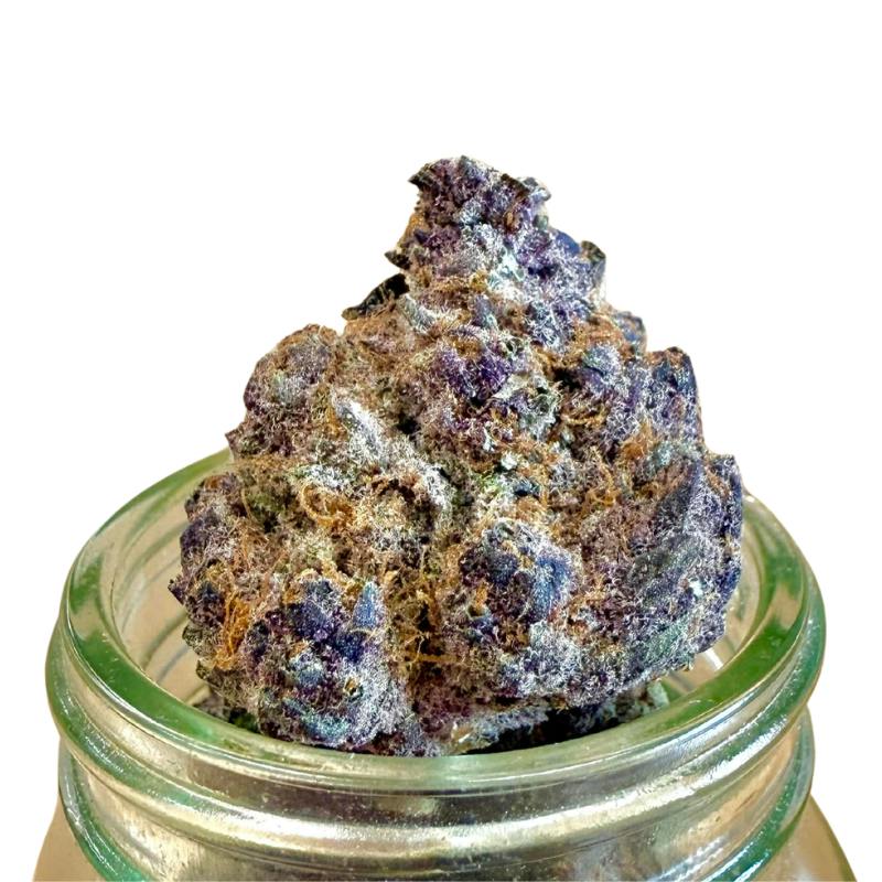 Trop Cherry Cookies x Connoisseur Shelf