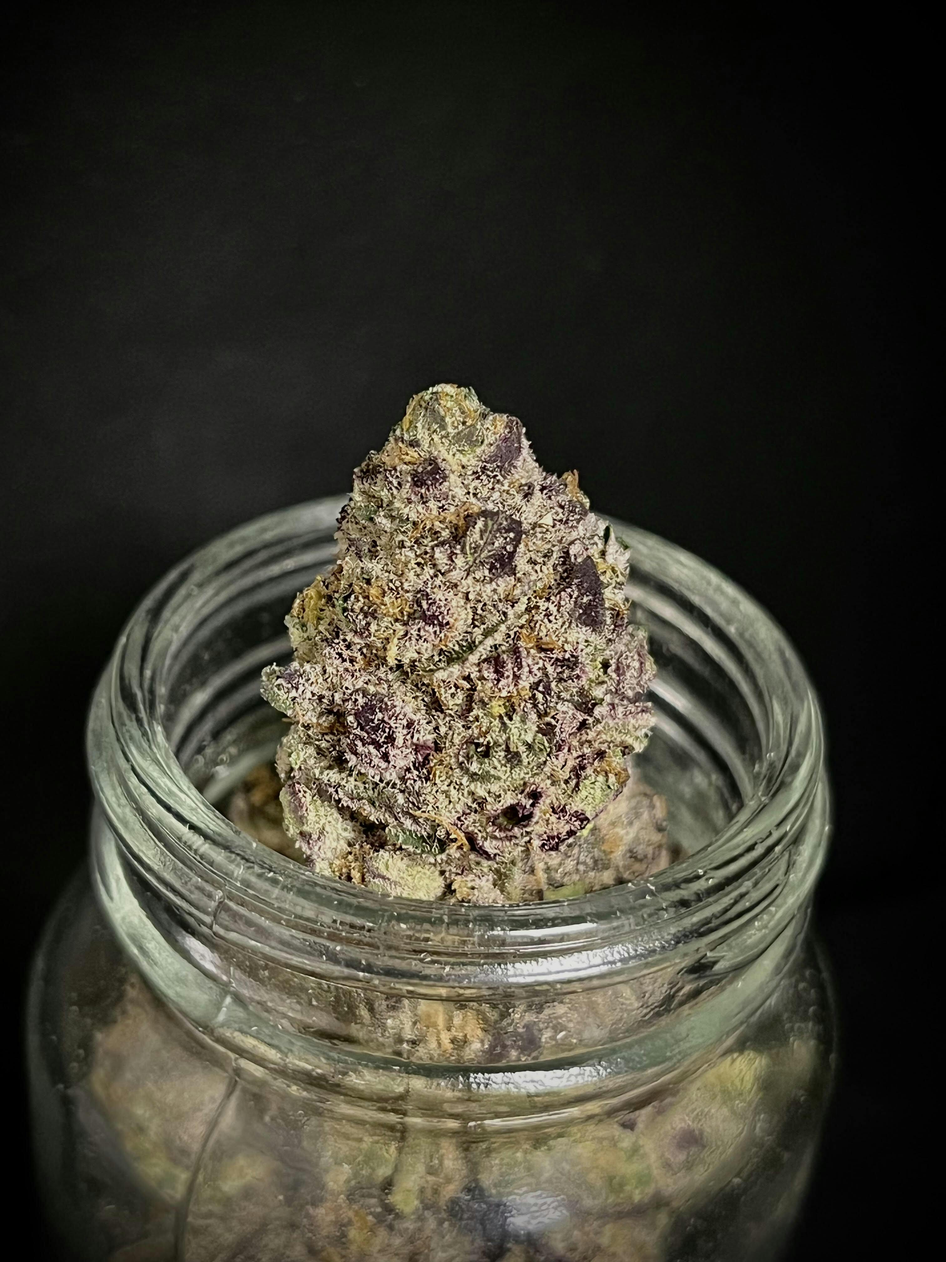 Quicksand {Otter Popz x Jealousy} (Cherry) "CONNOISSEUR SHELF"