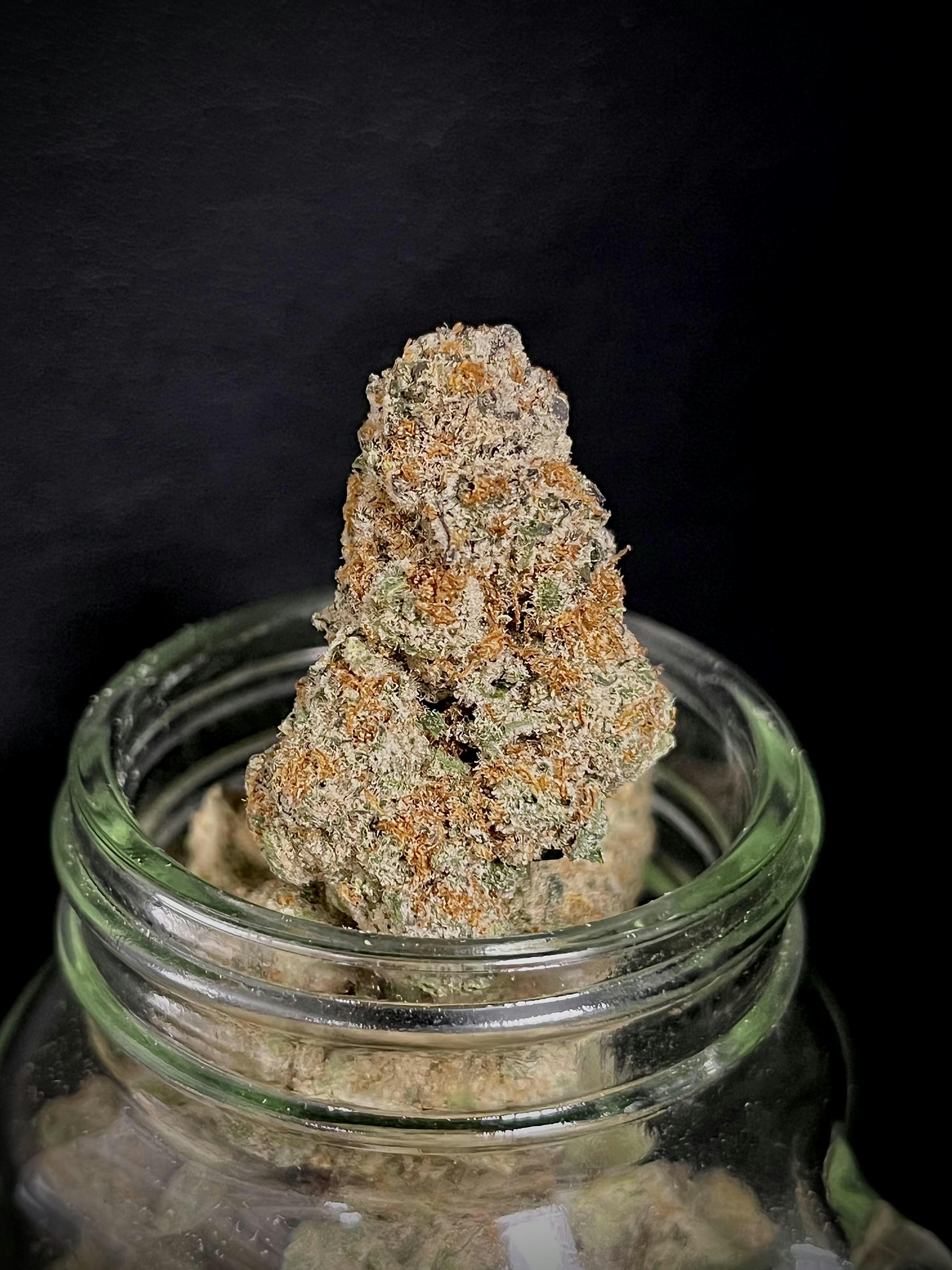 Grease Bucket {Banana Punch x Garlic Cookies} (Sunshine) "CONNOISSEUR SHELF"
