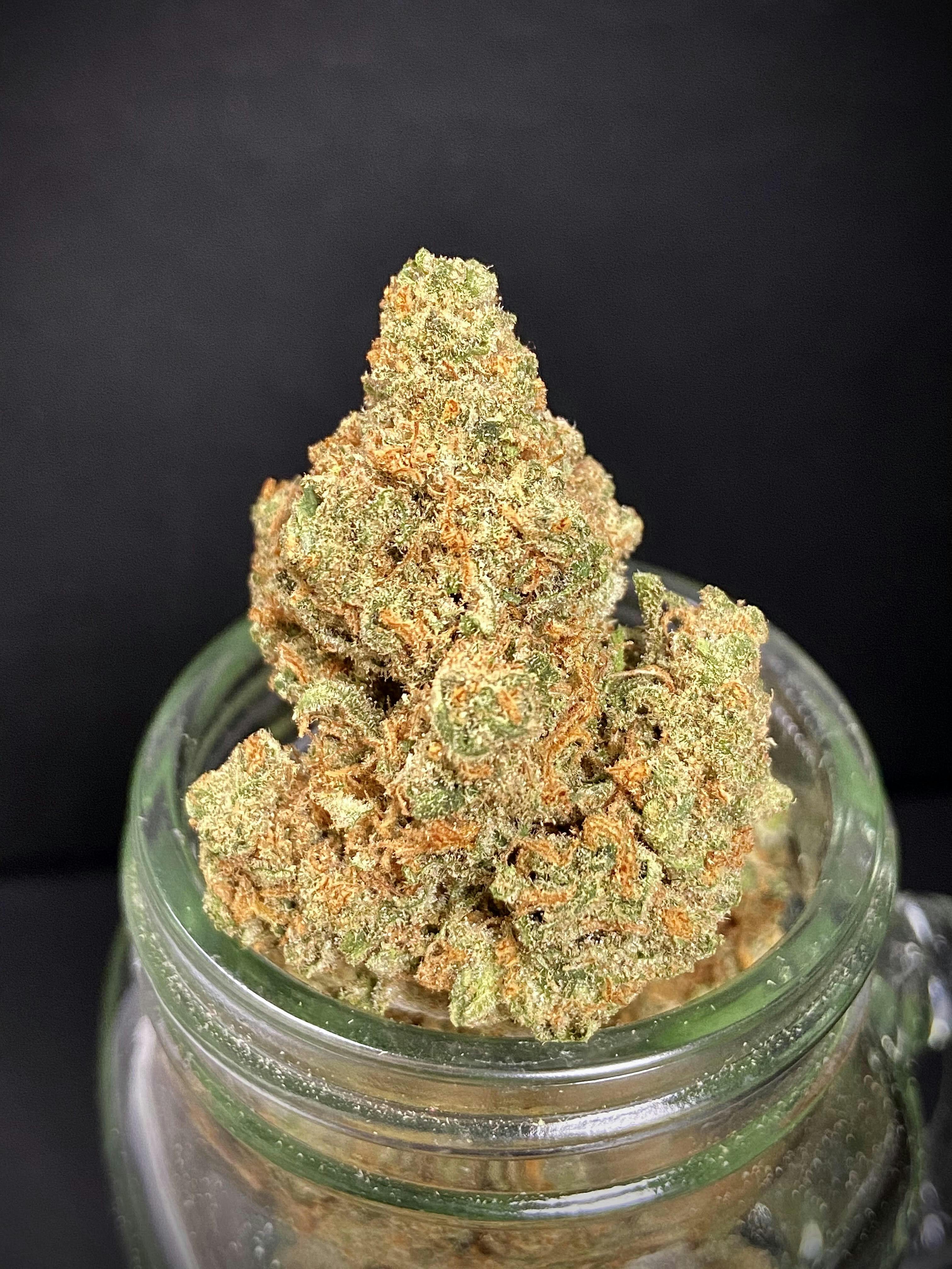 Super Lemon Haze Ssh x Skunk Connoisseur Shelf
