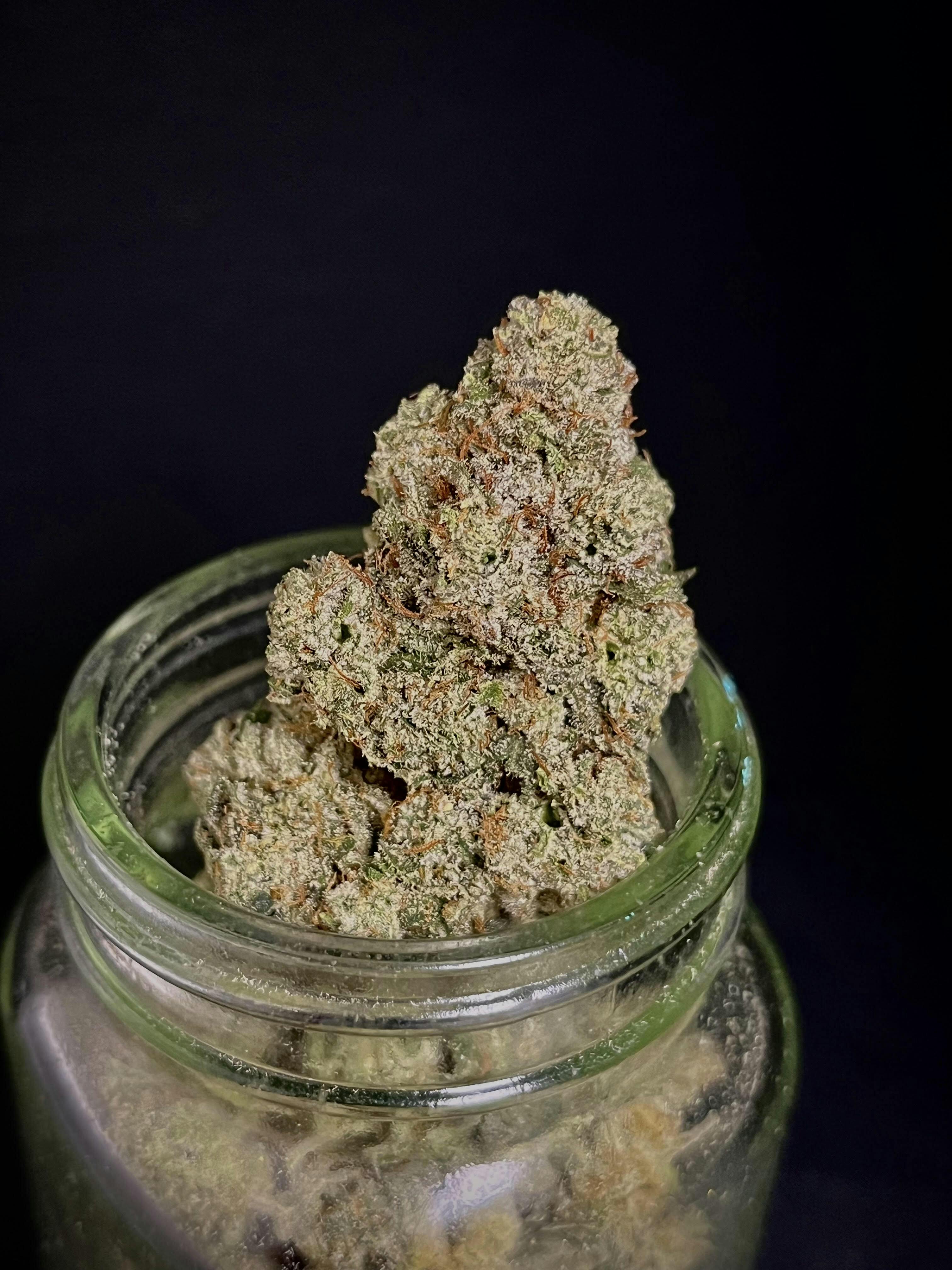 GG #4 {Chem Sister x Chocolate Diesel x Sour Dub} (Locol Love) "CONNOISSEUR SHELF"