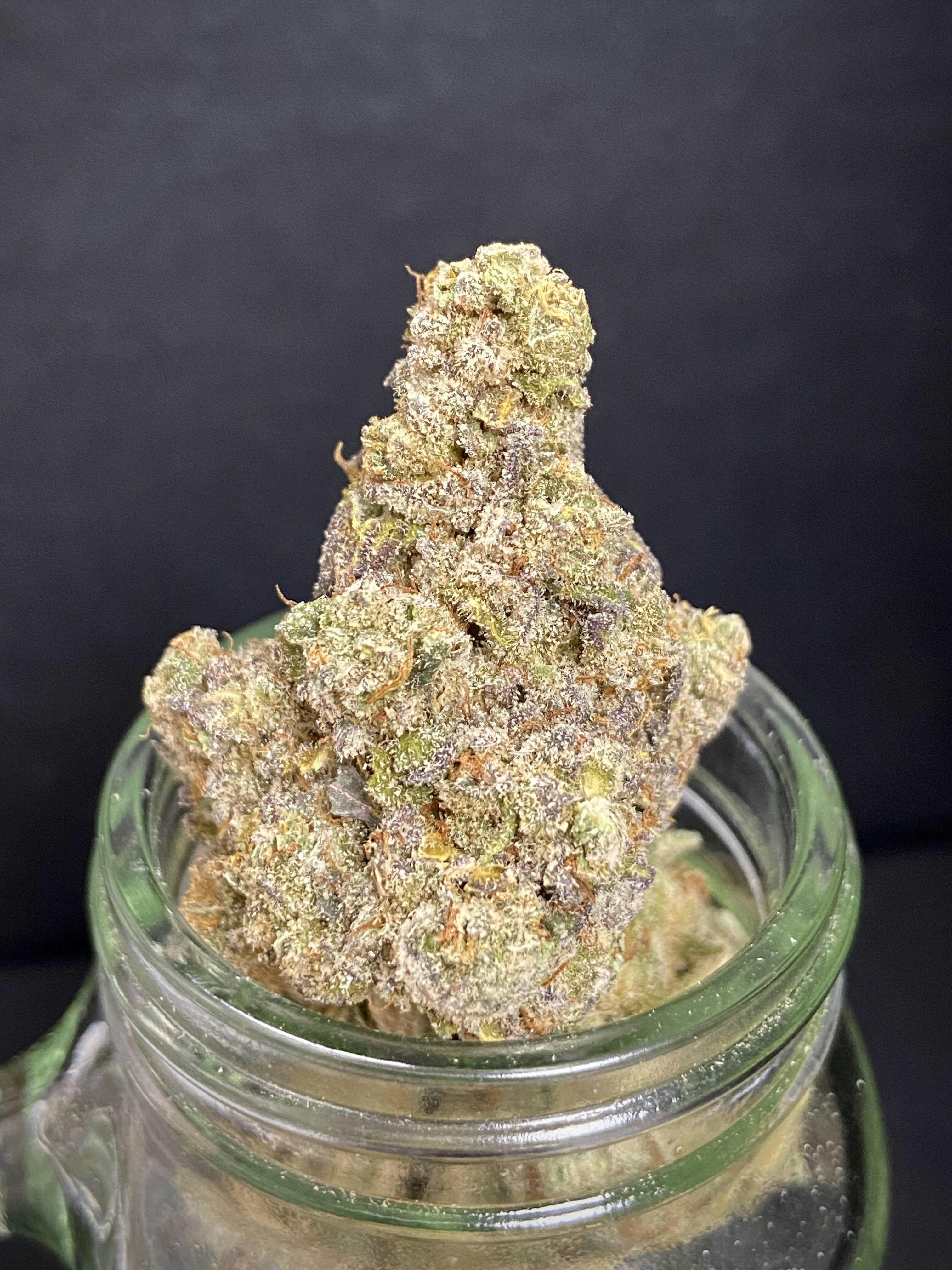 Super Lemon Chedda {Sunset Sherbet x SLH x Orange Apricot} (Locol Love) (1/2 OZ Bud Special)