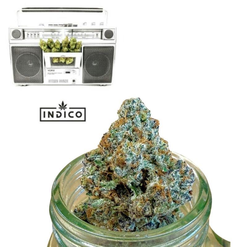 Gelonade {Lemon Tree x Gelato #41} (Indico) (1/2 OZ Bud Special)