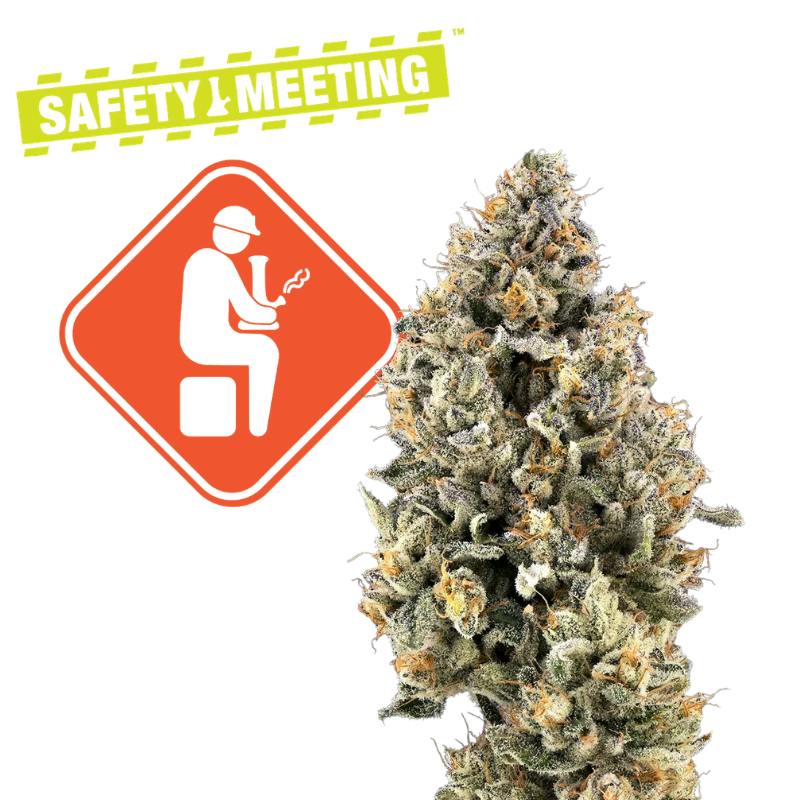 Green Dot Labs- Safety Meeting {Reba Jam x Soul Cleanser}