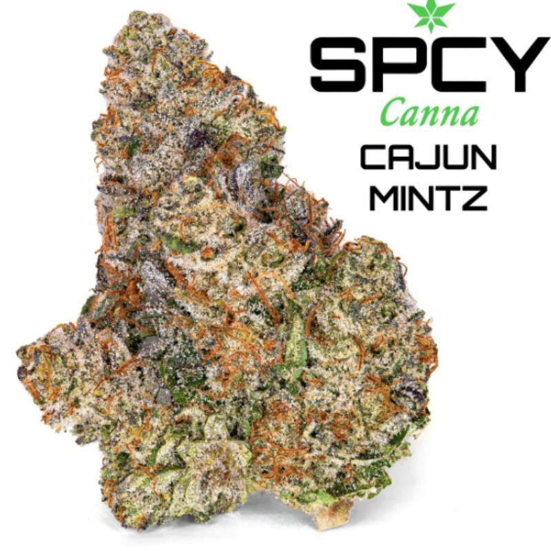 Cajun Mintz Moon x Wedding Spcy Canna Connoisseur Shelf