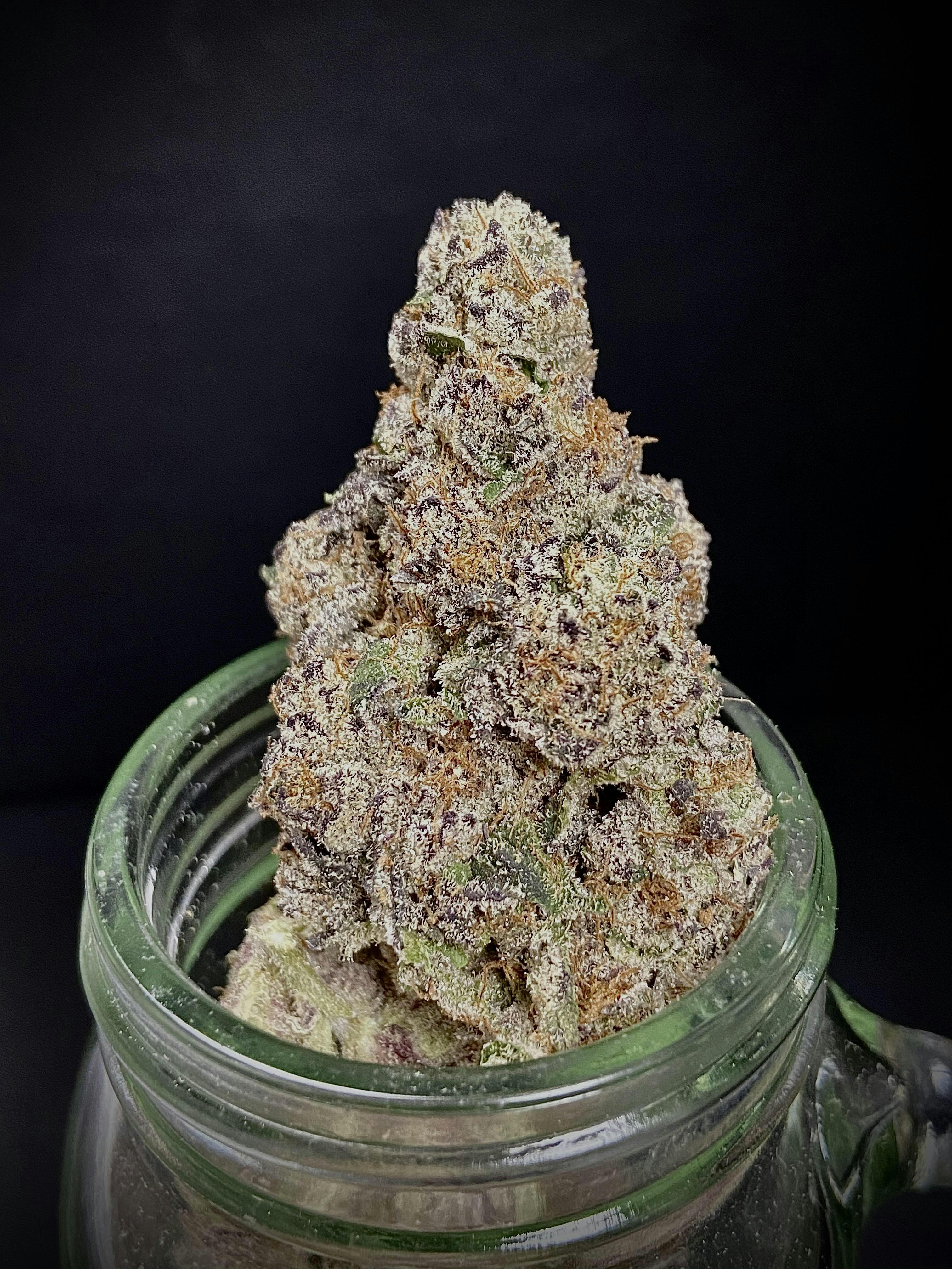 Infinity Lynx Junky x Cuban Linx Bud