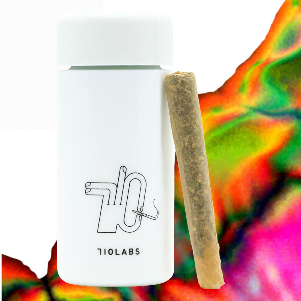 Persy Doinks Hazel Nut Piff #8 Z Pie #15