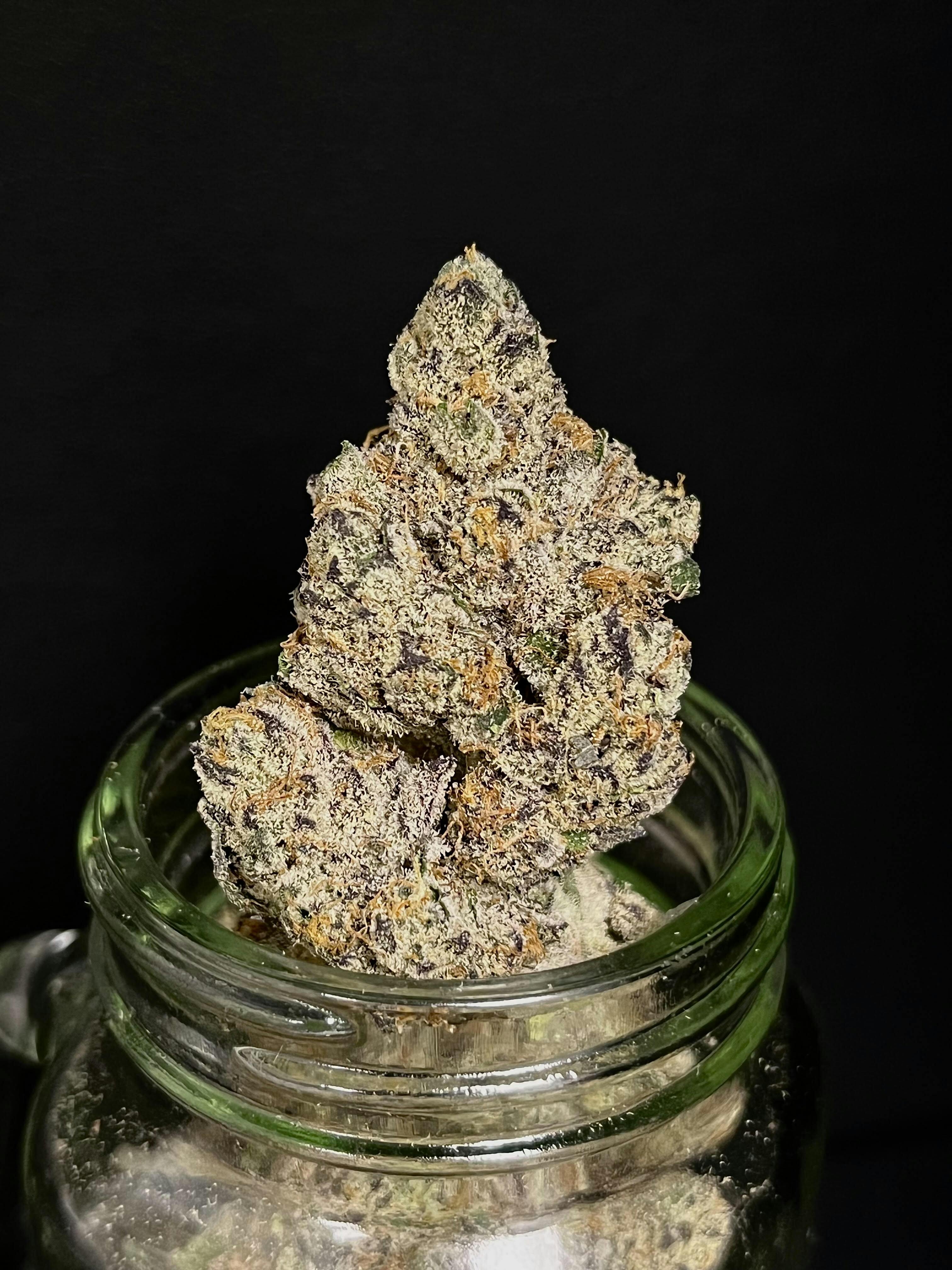 Ice Cream Cake Gelato #41 x Wedding Bud